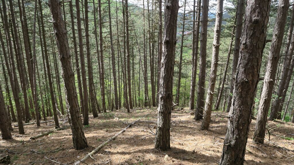 img 7933 | WebJET CMS