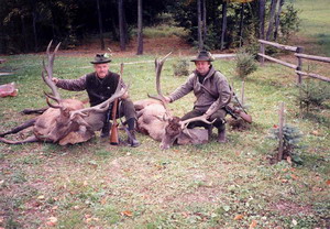 Picture Hunting deer SK