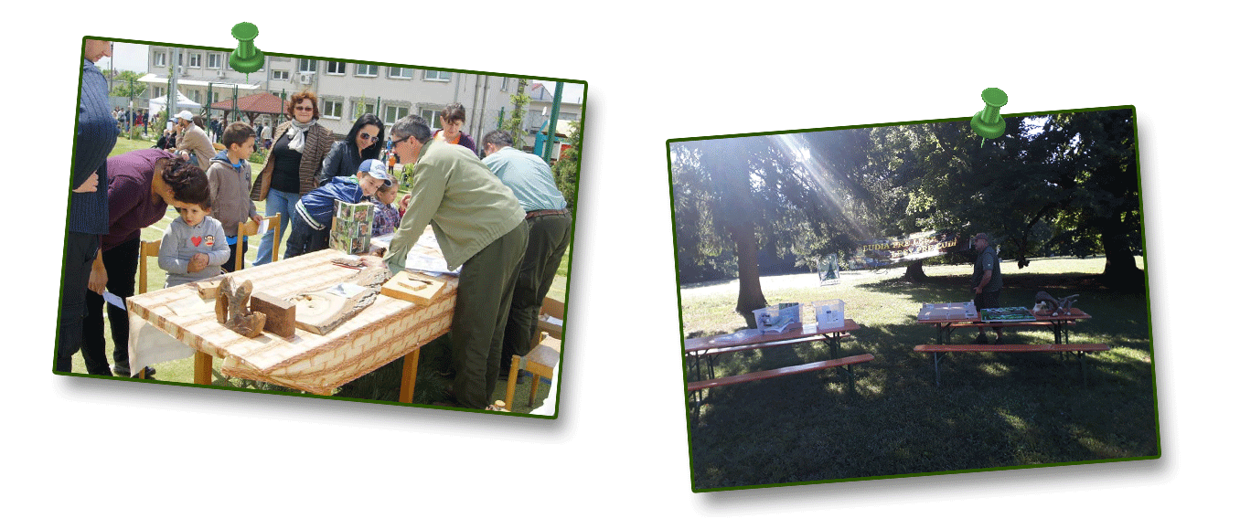 lesná pedagogika na hromadných akciách