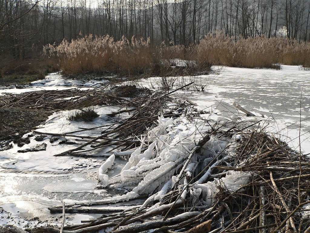 120205 hradza1b | WebJET CMS