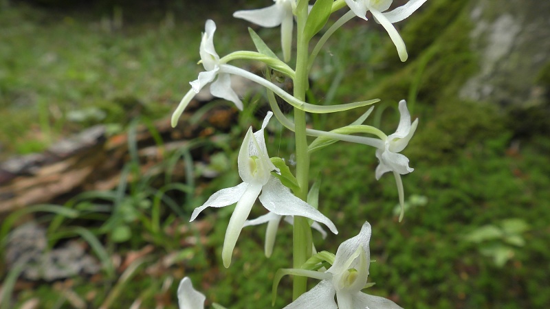 20160605 venennik | WebJET CMS