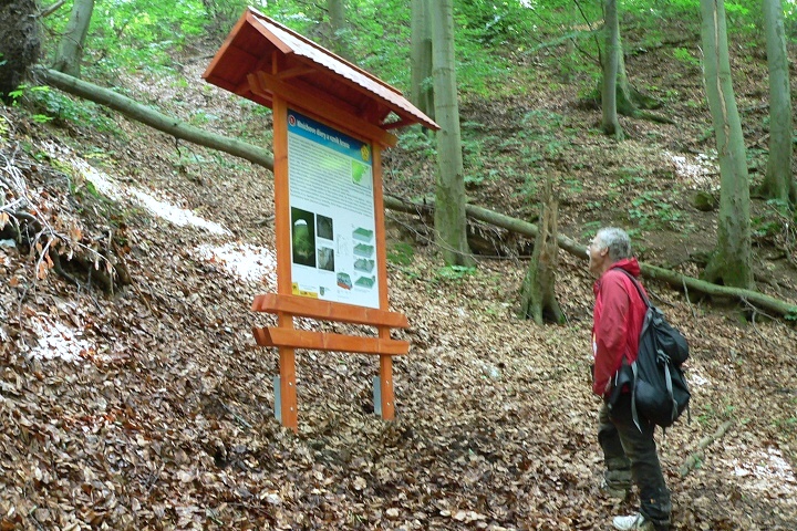 130525 nch7 | WebJET CMS