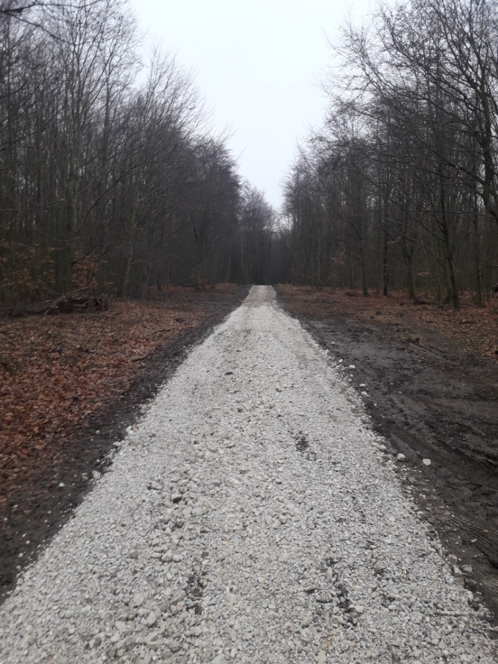 Oprava lesnej dopravnej siete – červená značka