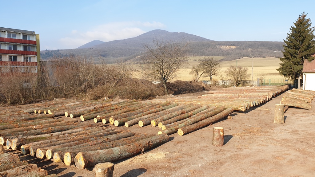 20210308 090034x | WebJET CMS