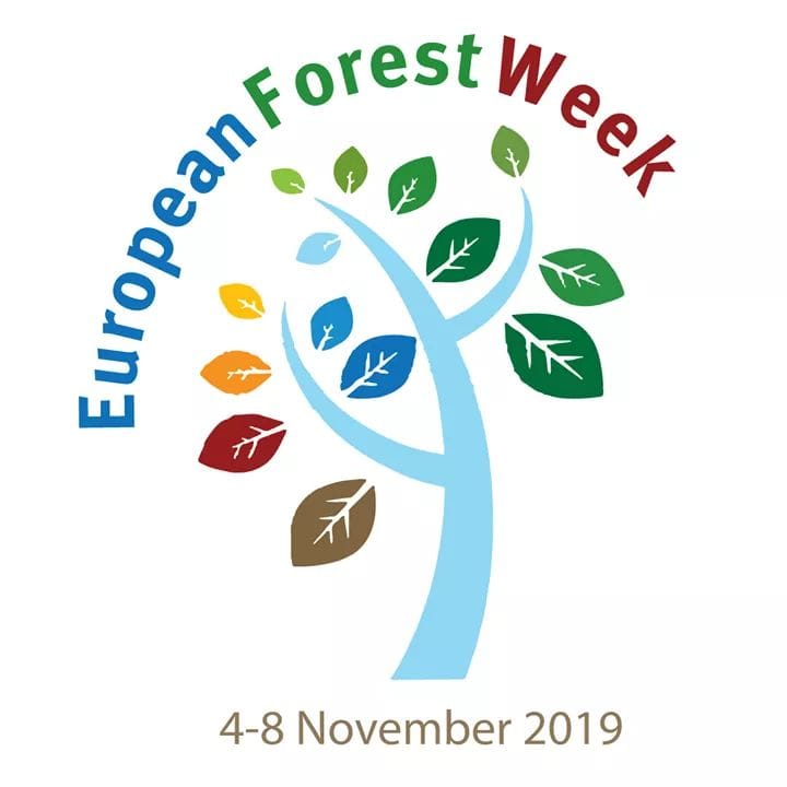 Obrázok Európsky týždeň lesov 2019