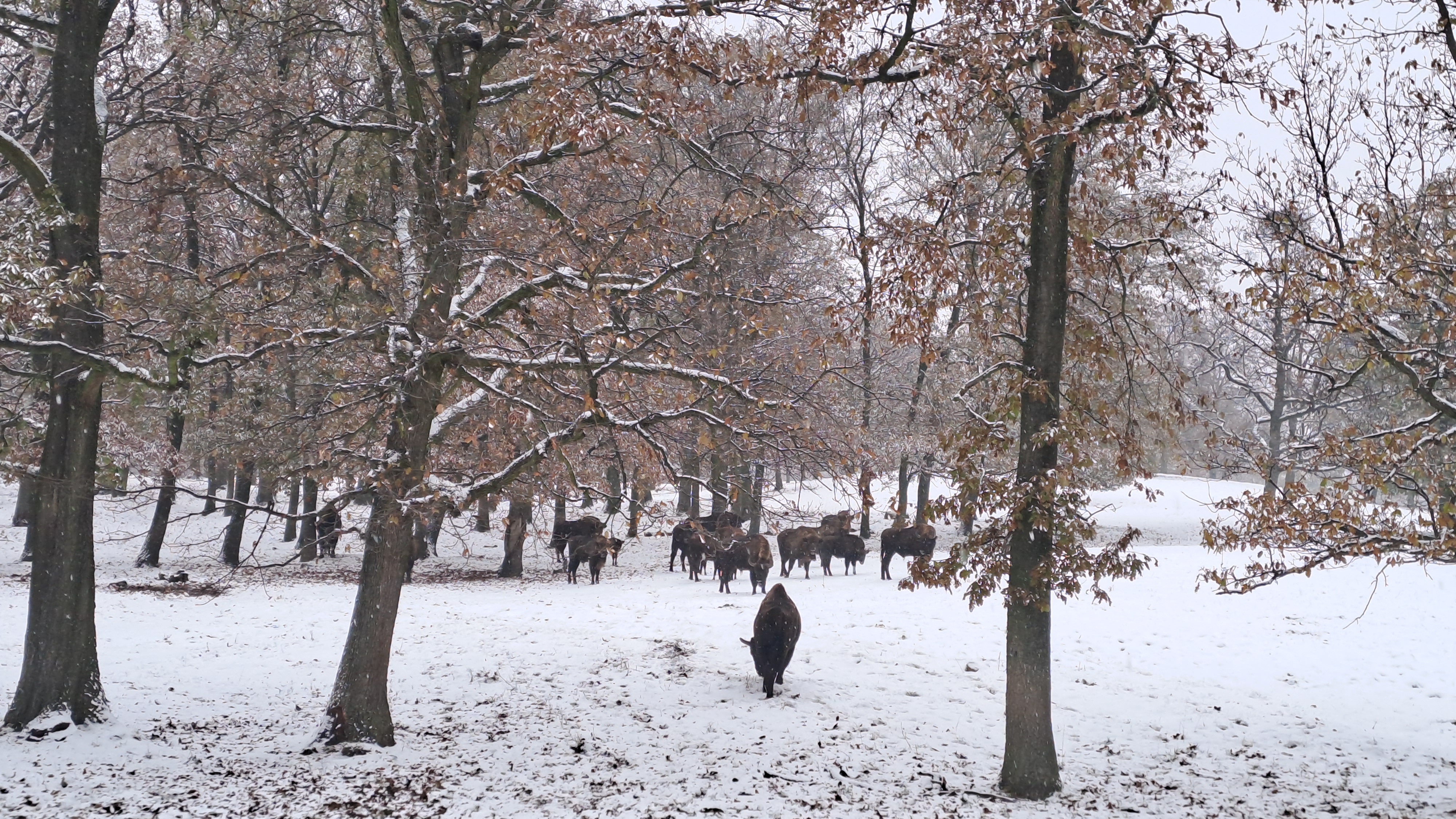 20231201 093328 | WebJET CMS