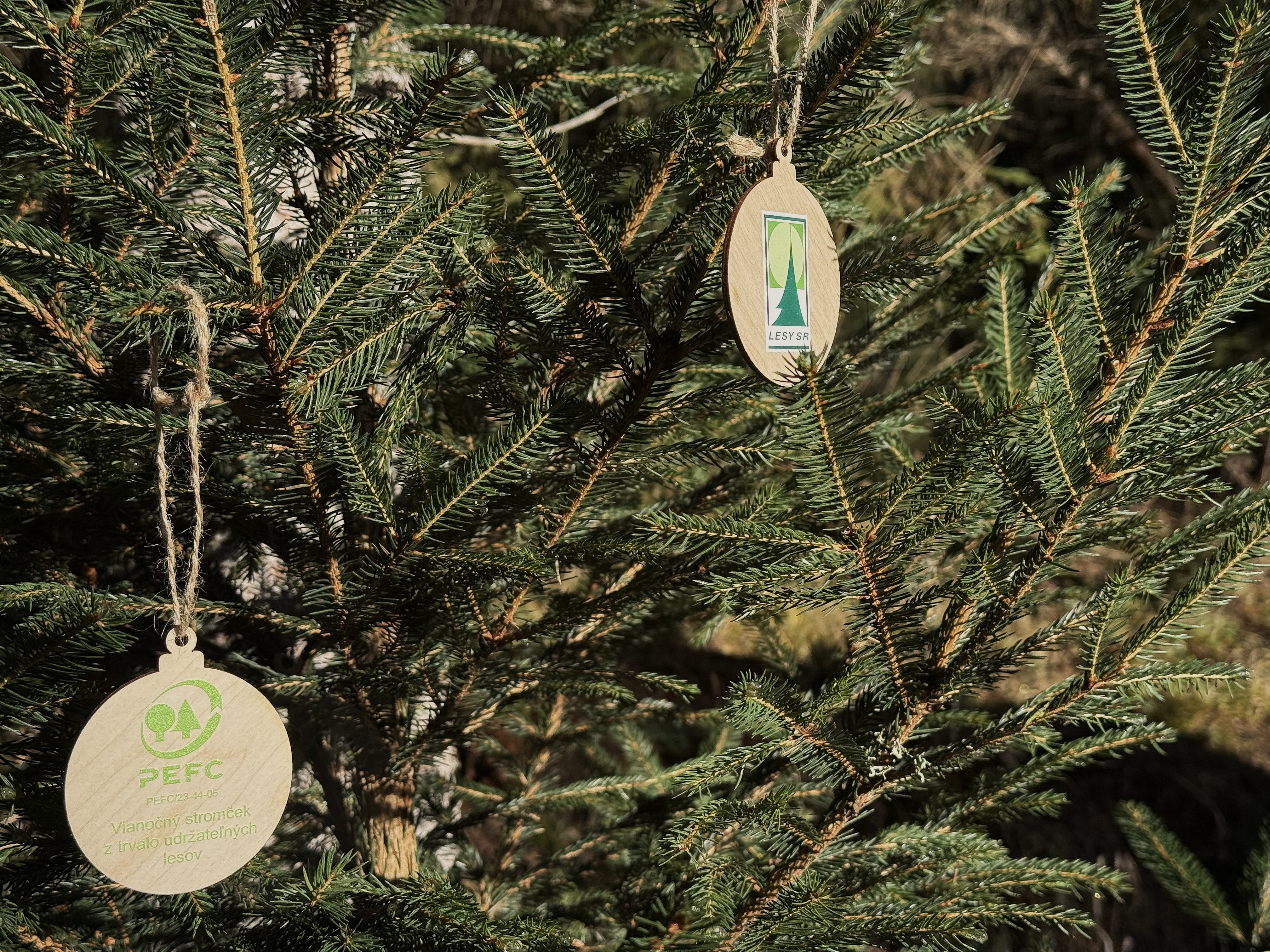  vianočné stromčeky z prerezávok 