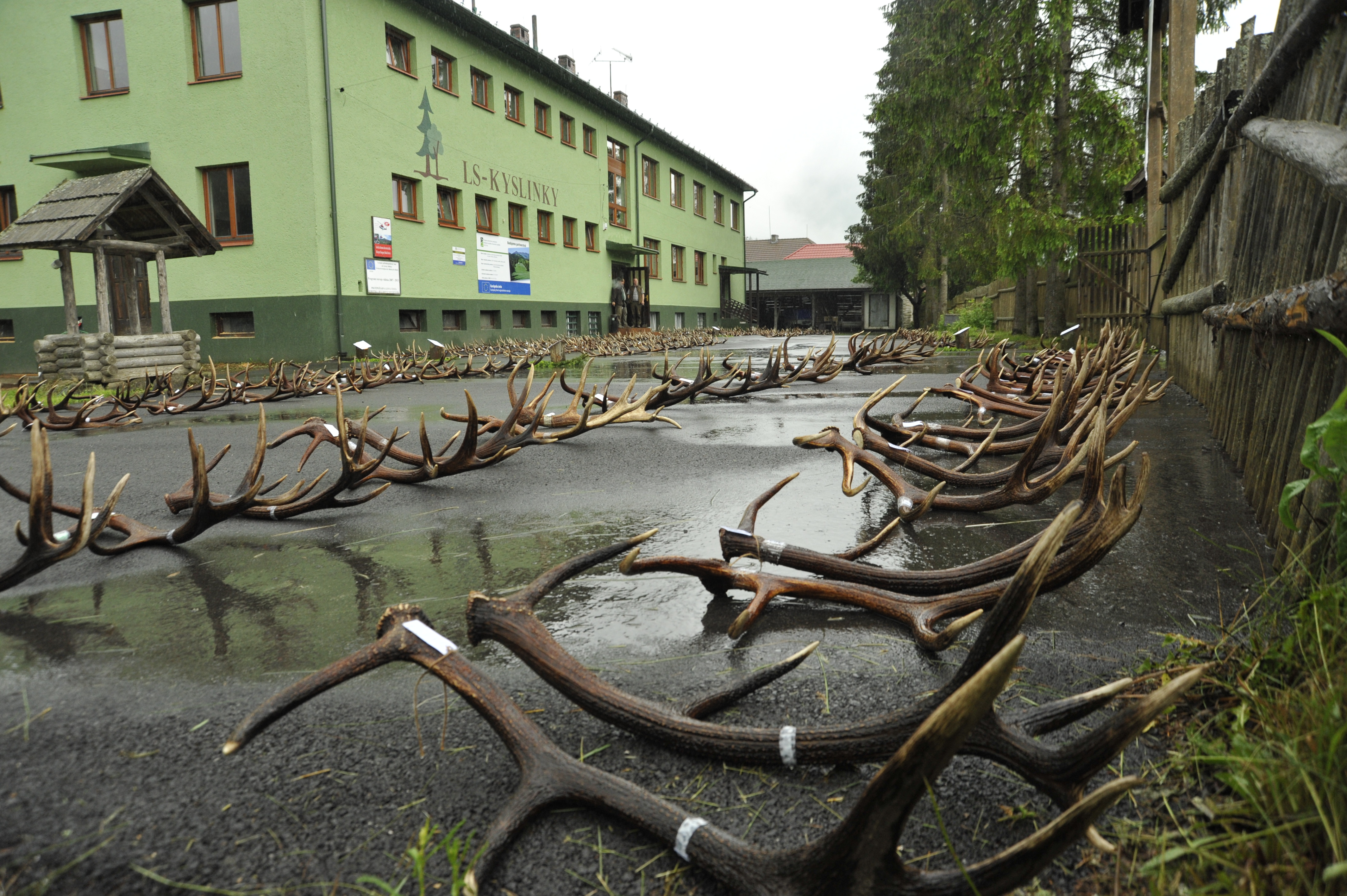 dsc5285 | WebJET CMS