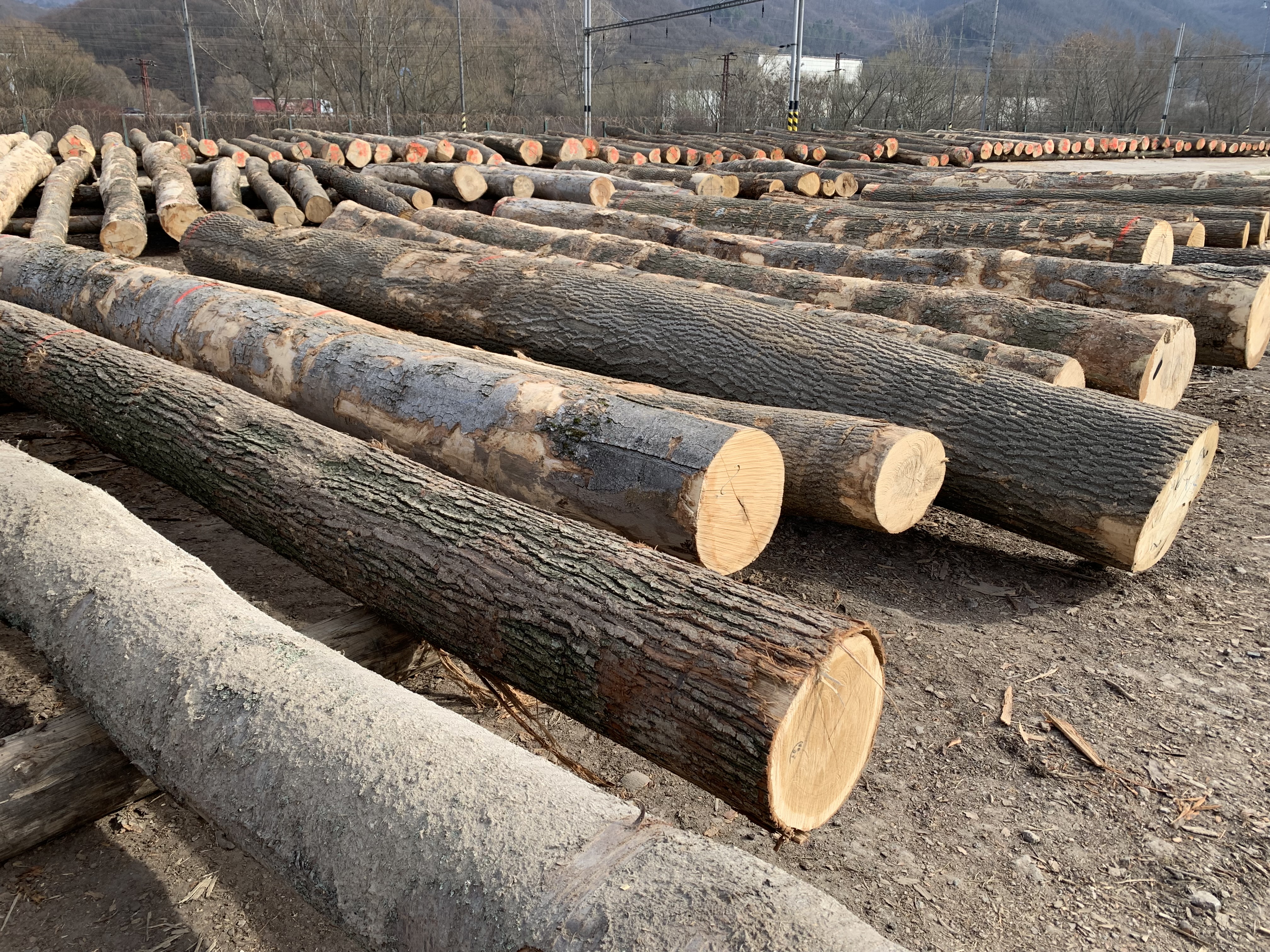 drevo na sklade drevo na sklade