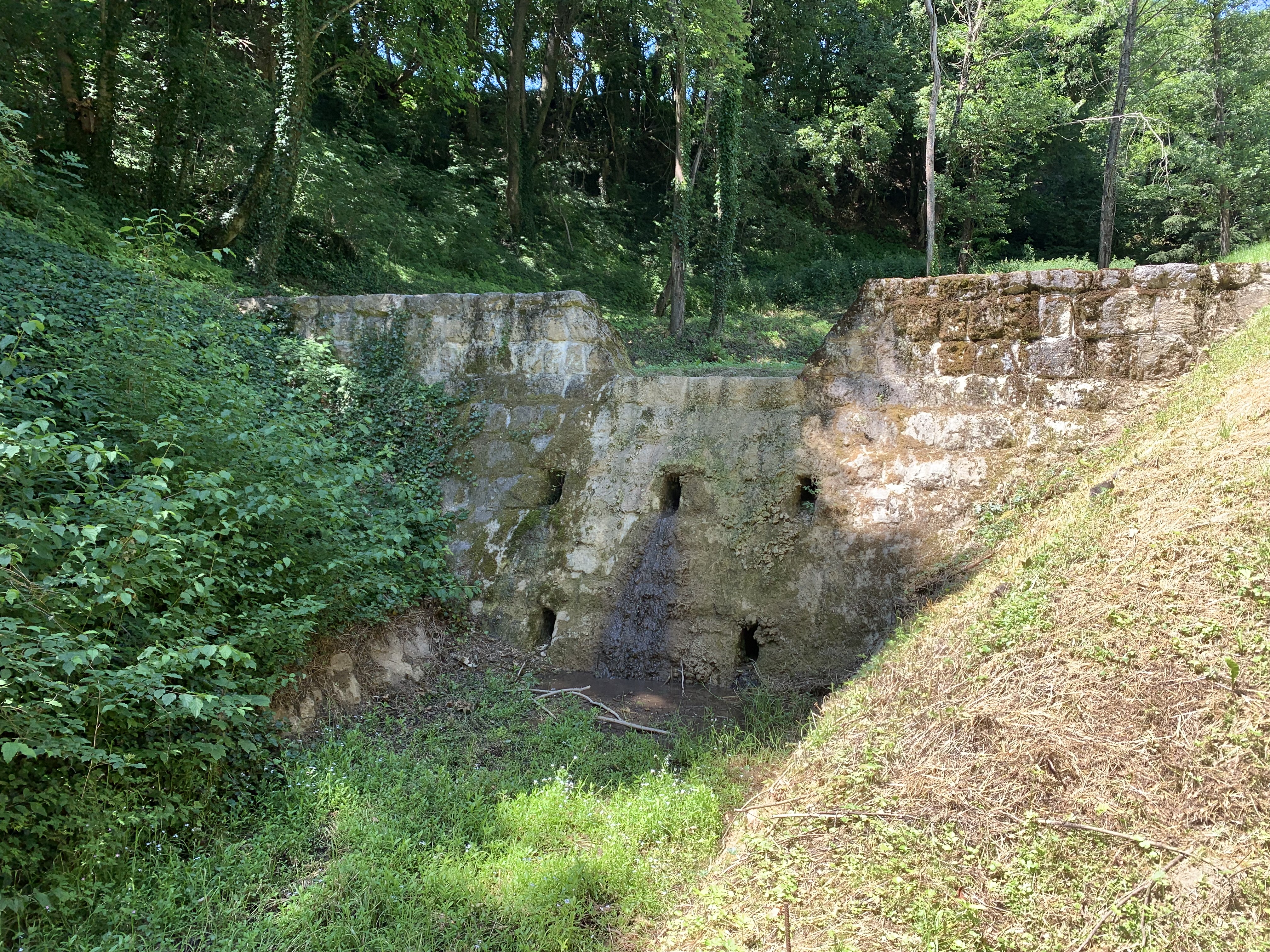 Haluzická tiesňava