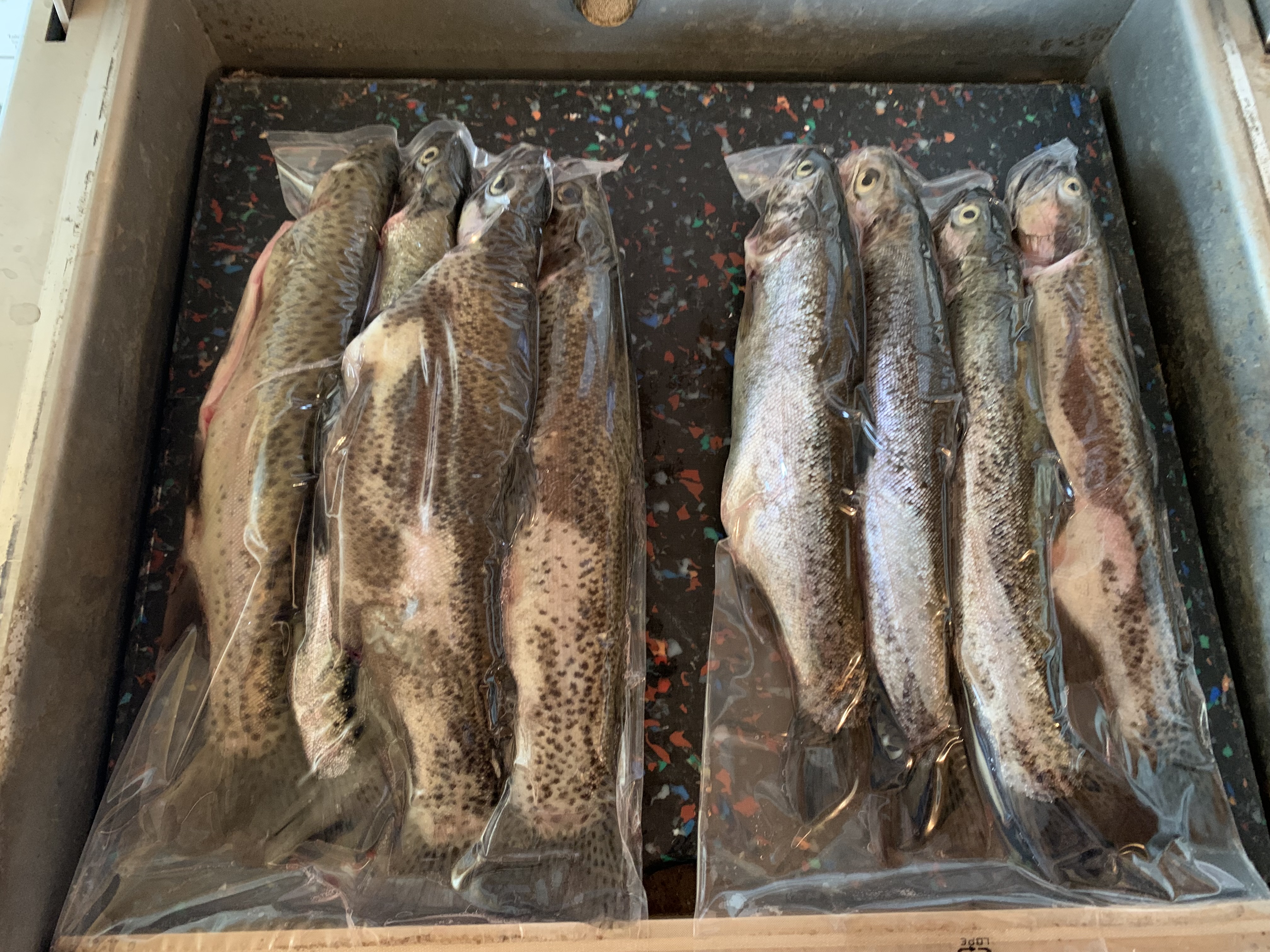 img 0630 | WebJET CMS