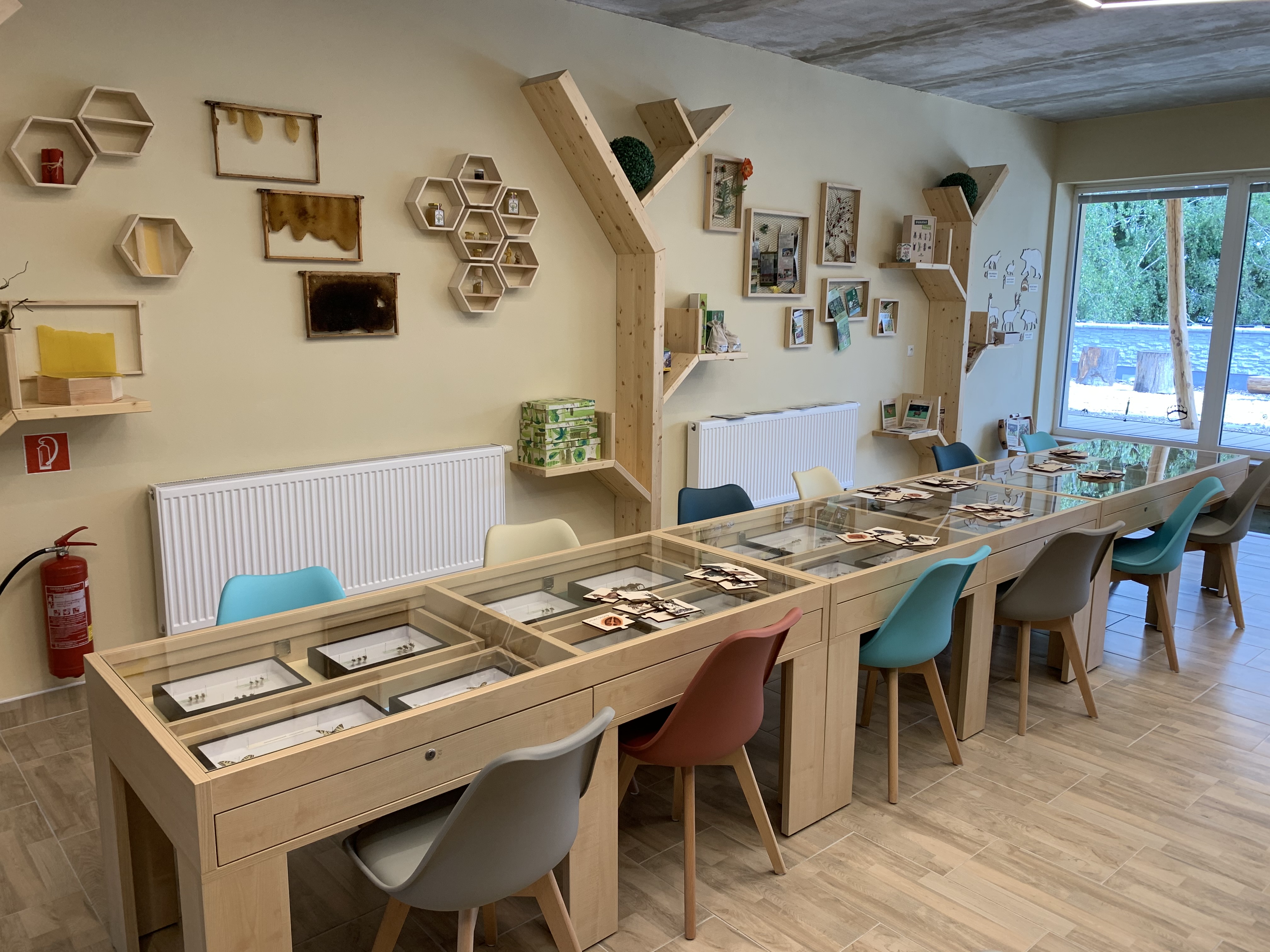 Interiér Lesnej školy v Leviciach  Interiér Lesnej školy v Leviciach