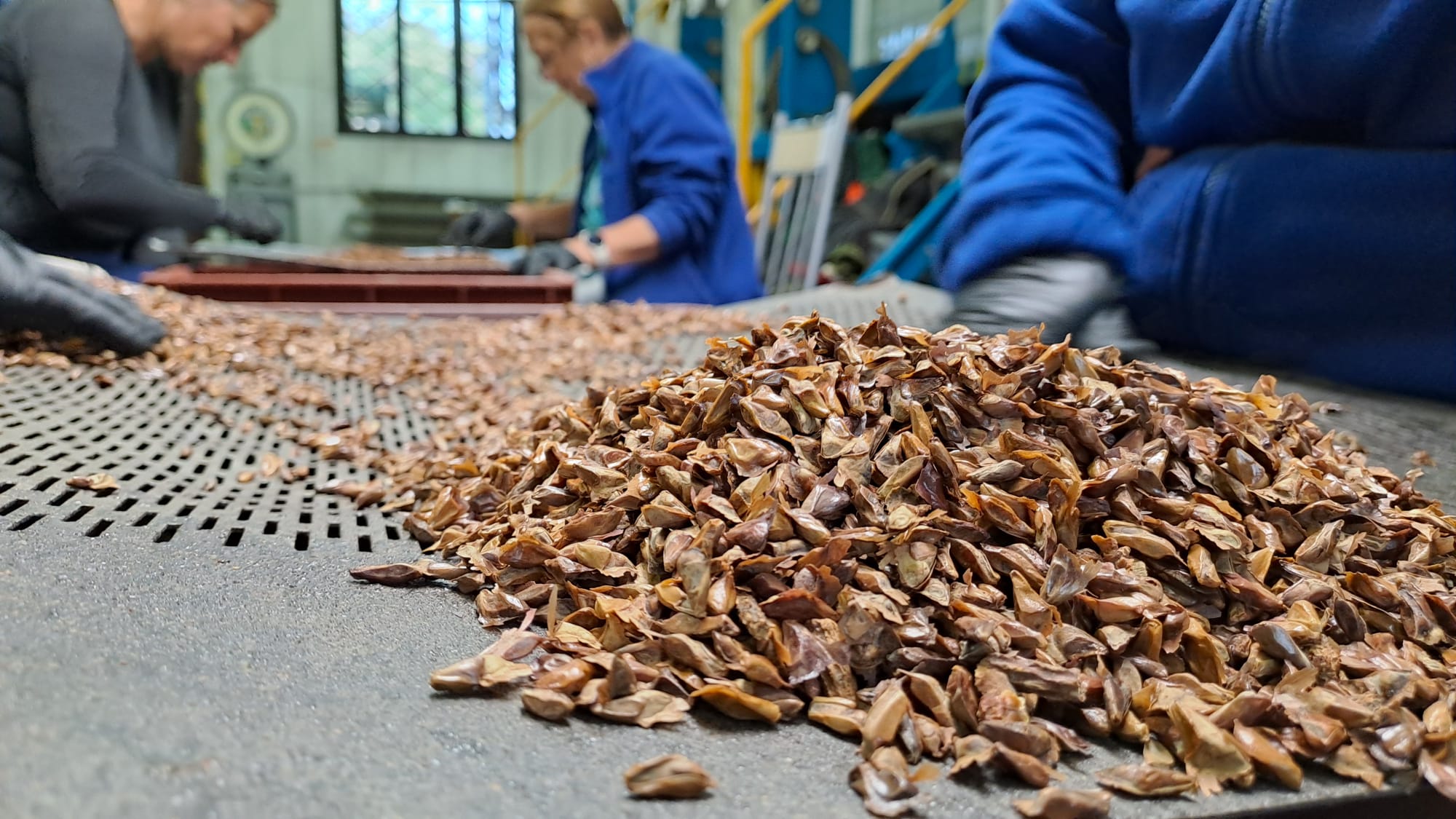 jedlovesemena | WebJET CMS Jedľové semená