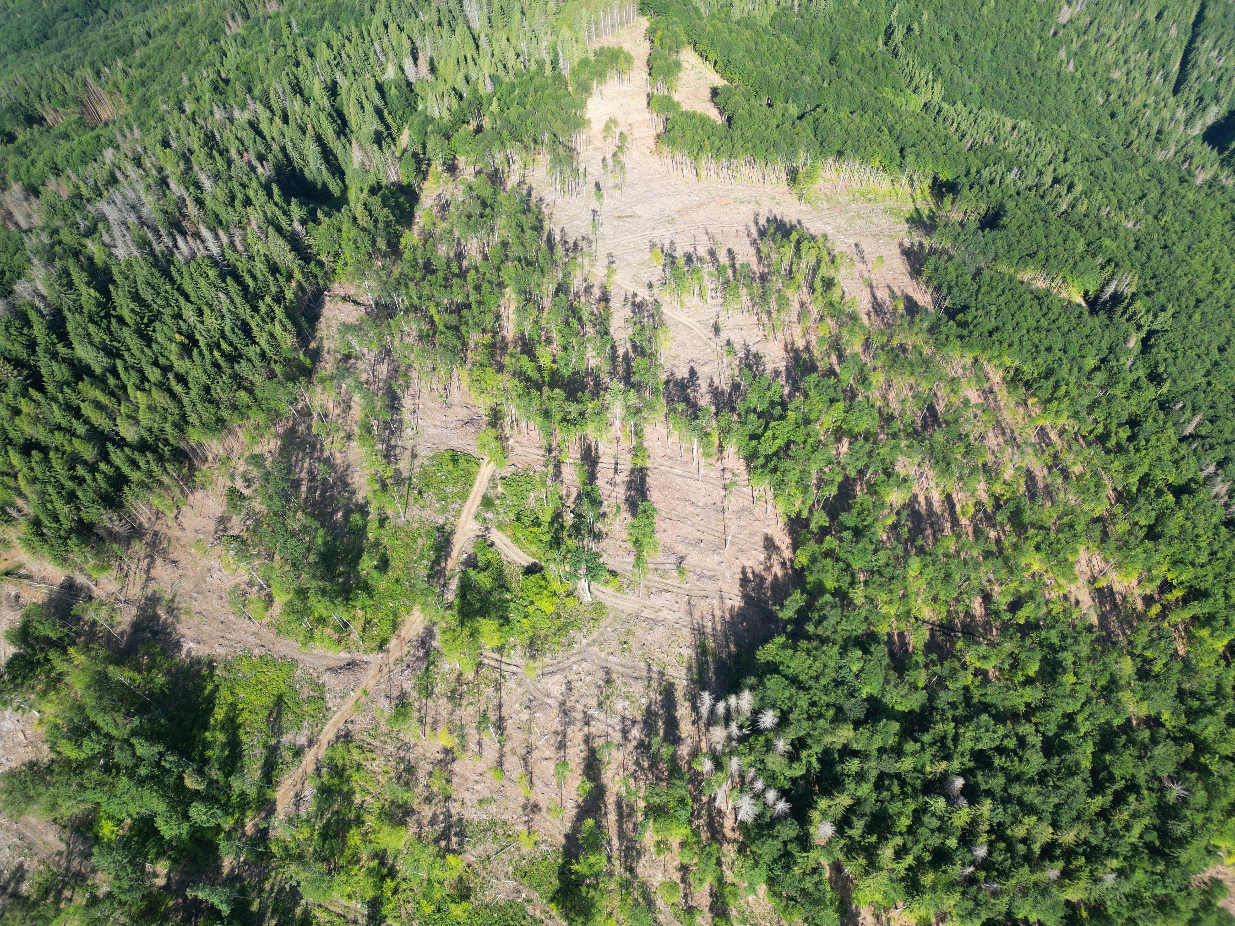 kalamita na Horehroní 