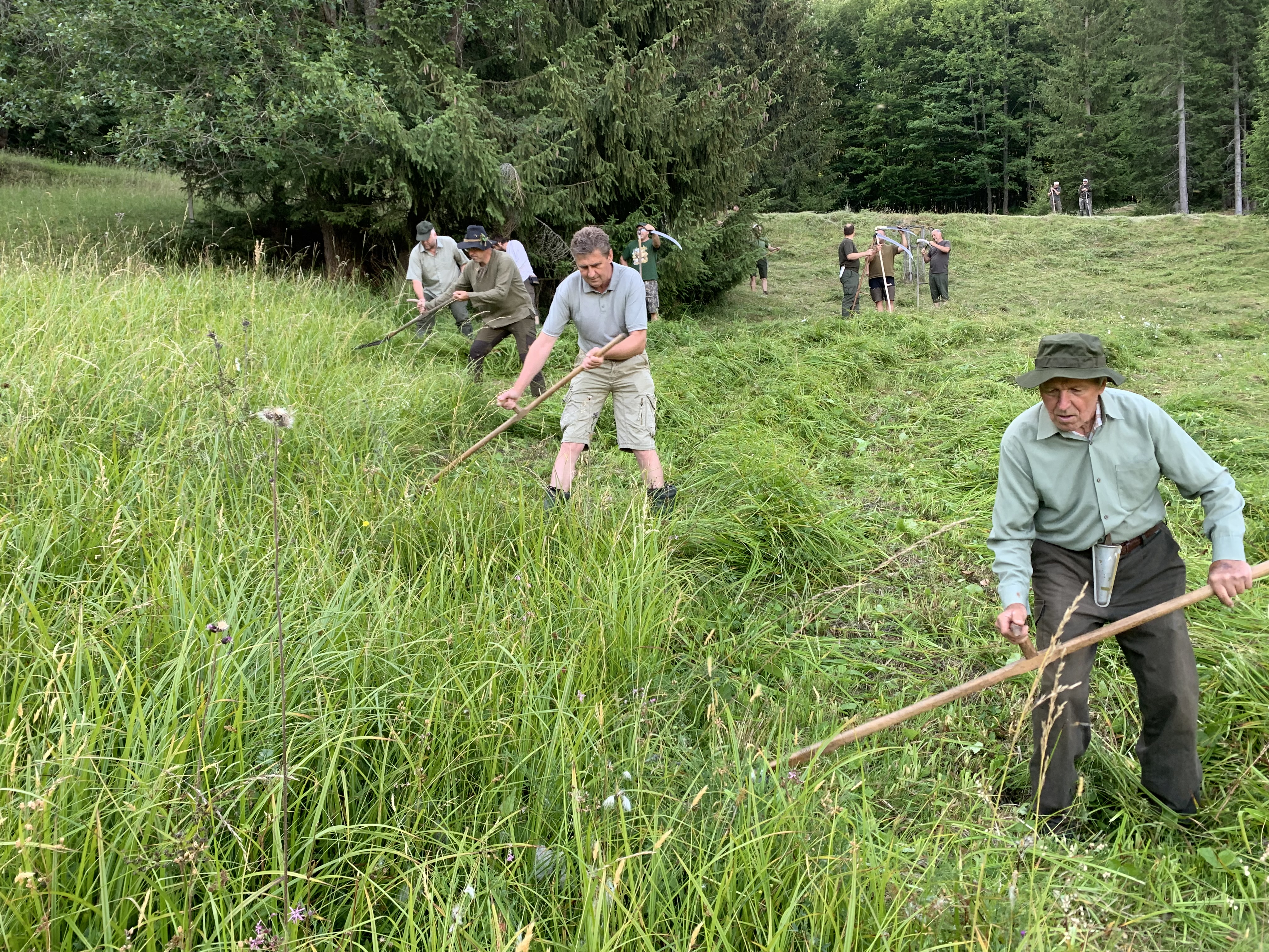 img 6189 | WebJET CMS