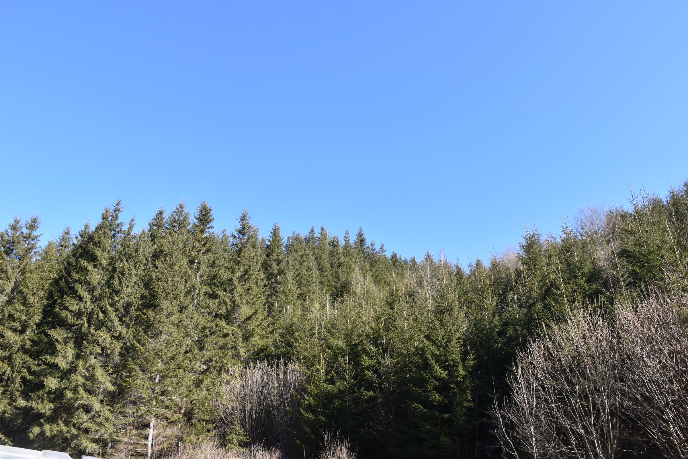 LESY SR pre Horehronie LESY SR pre Horehronie