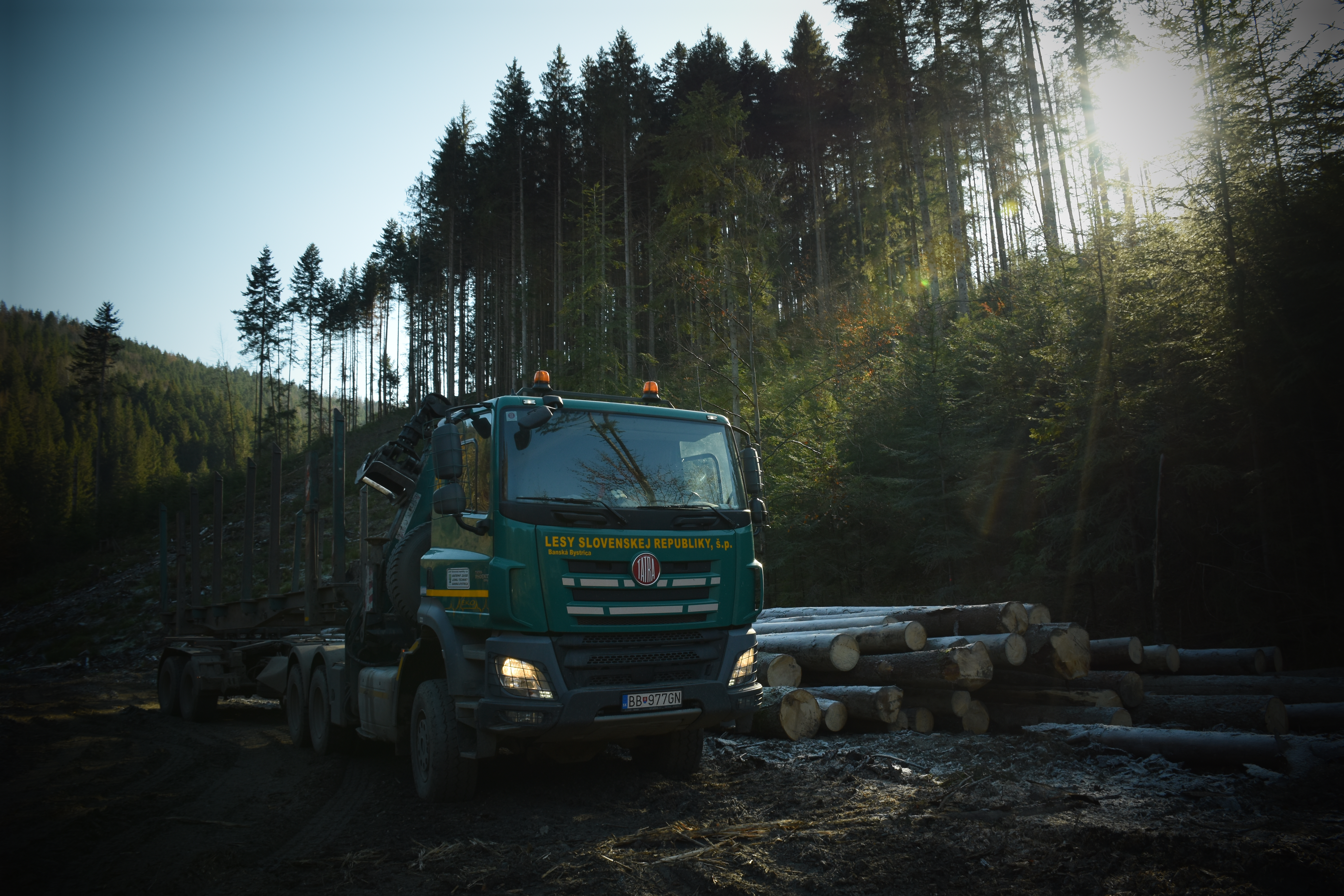 dsc 0315 | WebJET CMS