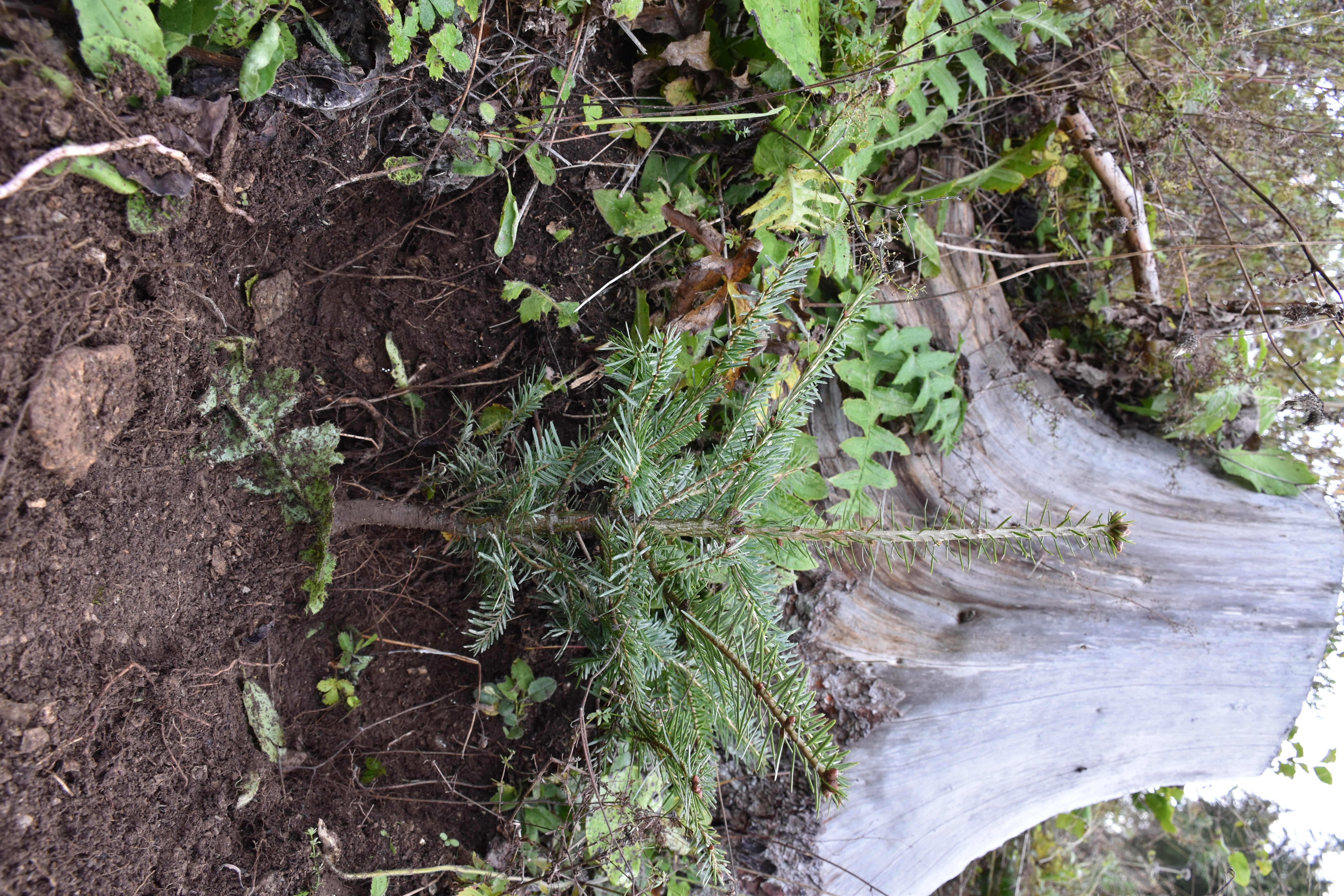 dsc 0329 | WebJET CMS