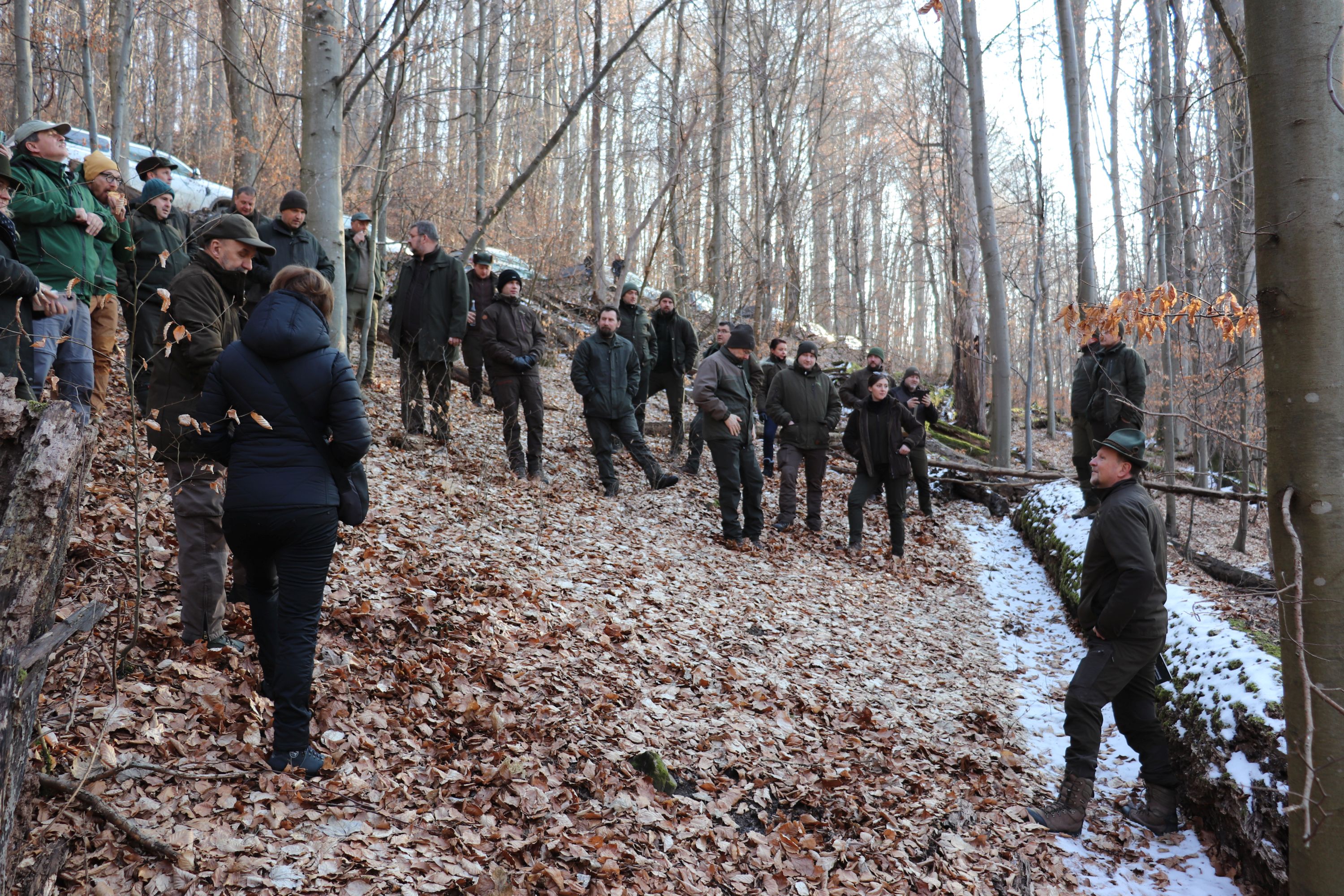 LESYpreKLÍMU LESYpreKLÍMU