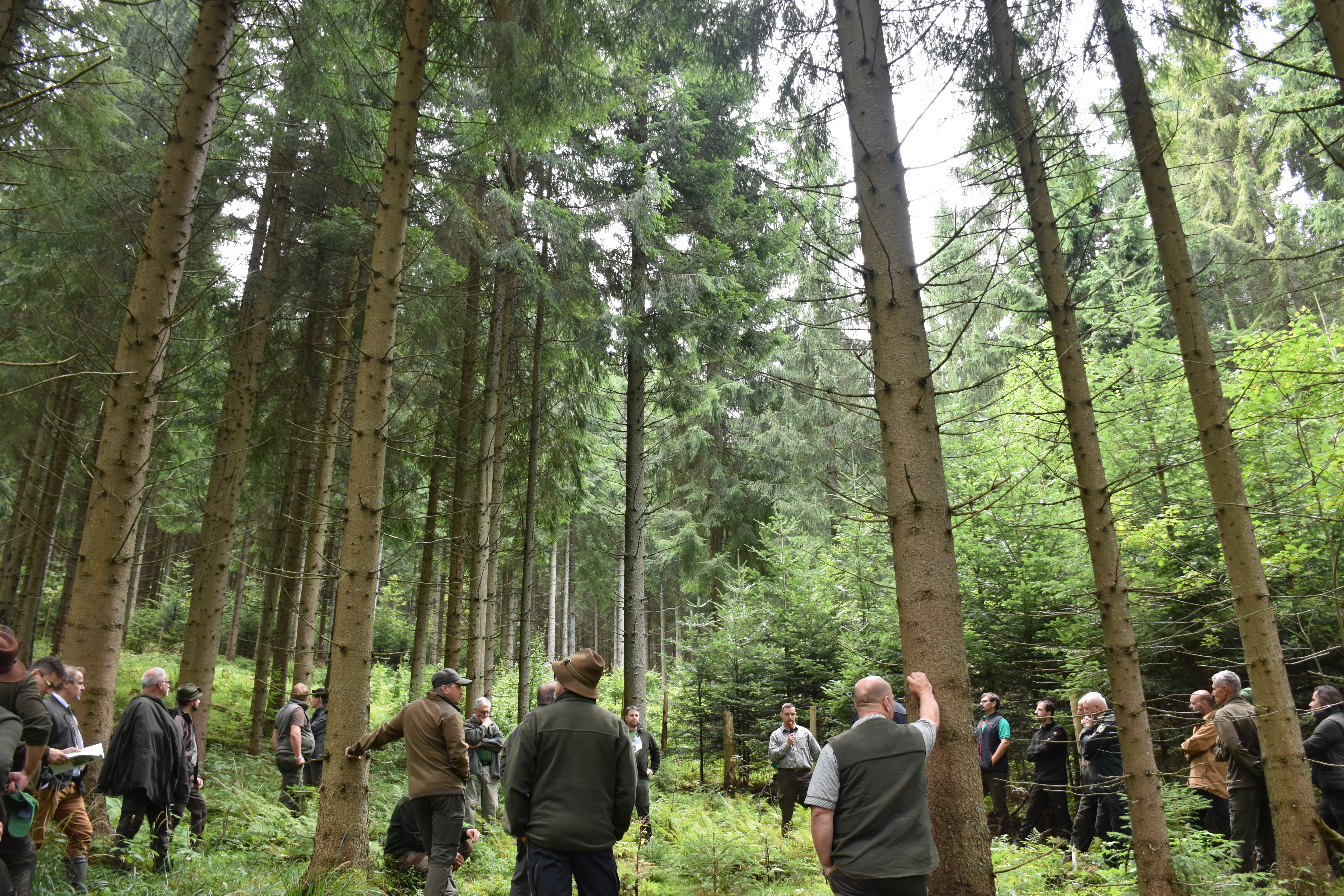 lsr lesnicky den12 9 2025 | WebJET CMS LESY SR, Lesnícky deň 2025