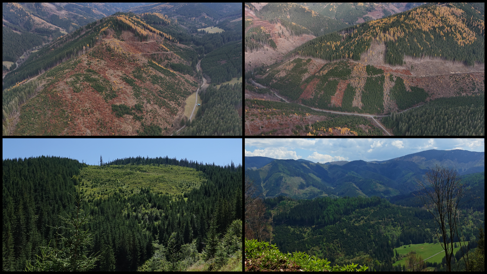 kalamitaalzbeta | WebJET CMS