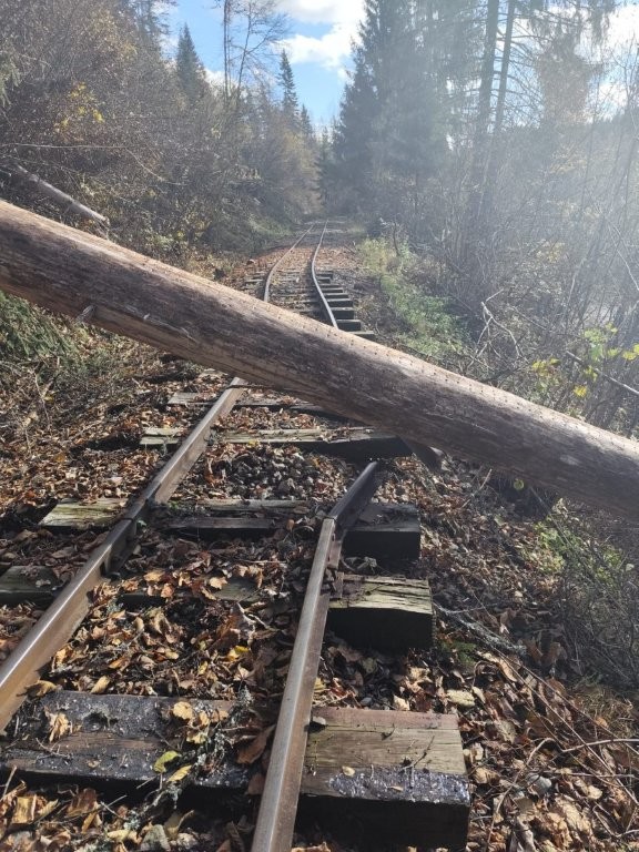 1000007403 | WebJET CMS foto pred ťažbou