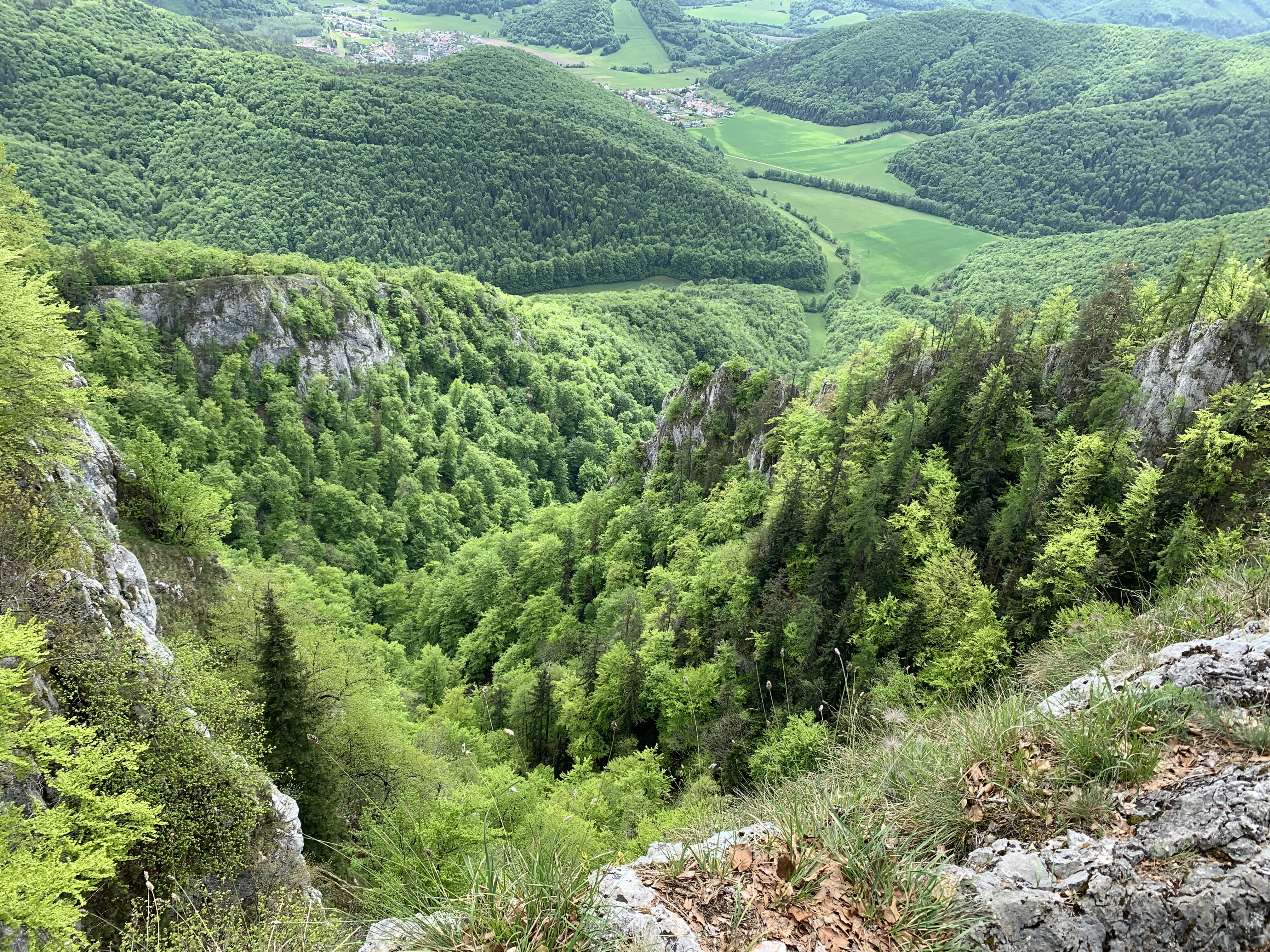 lesy Muránskej planiny lesy Muránskej planiny