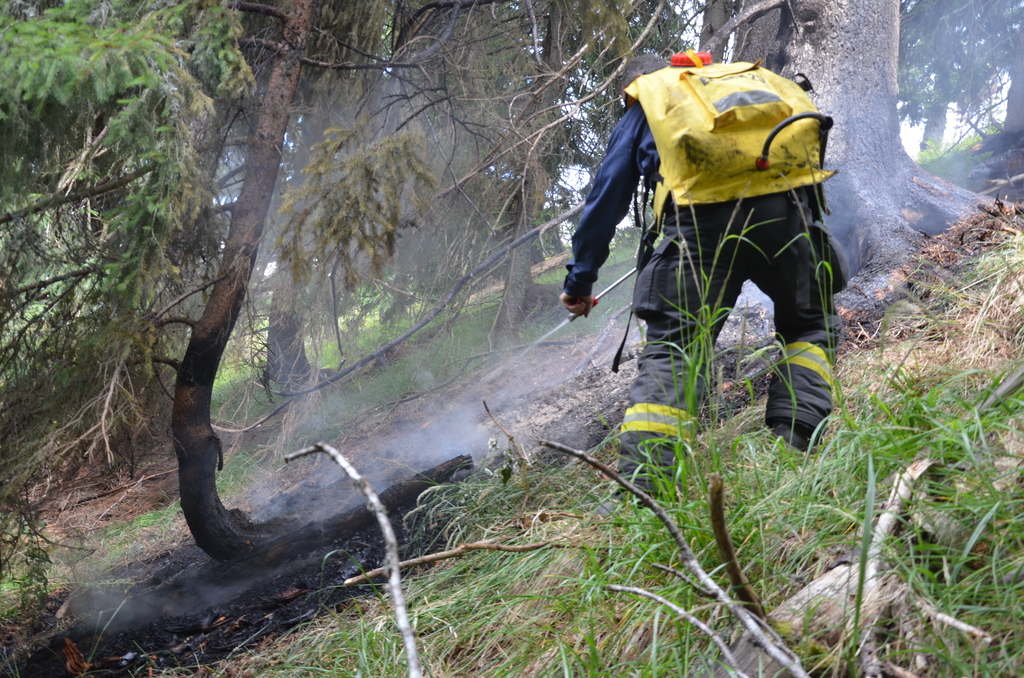 hasenie lesného požiaru hasenie lesného požiaru
