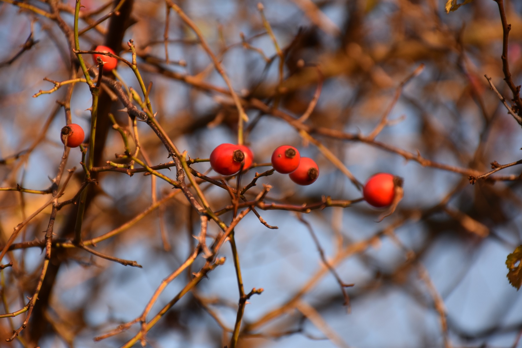 sipky zmensene | WebJET CMS