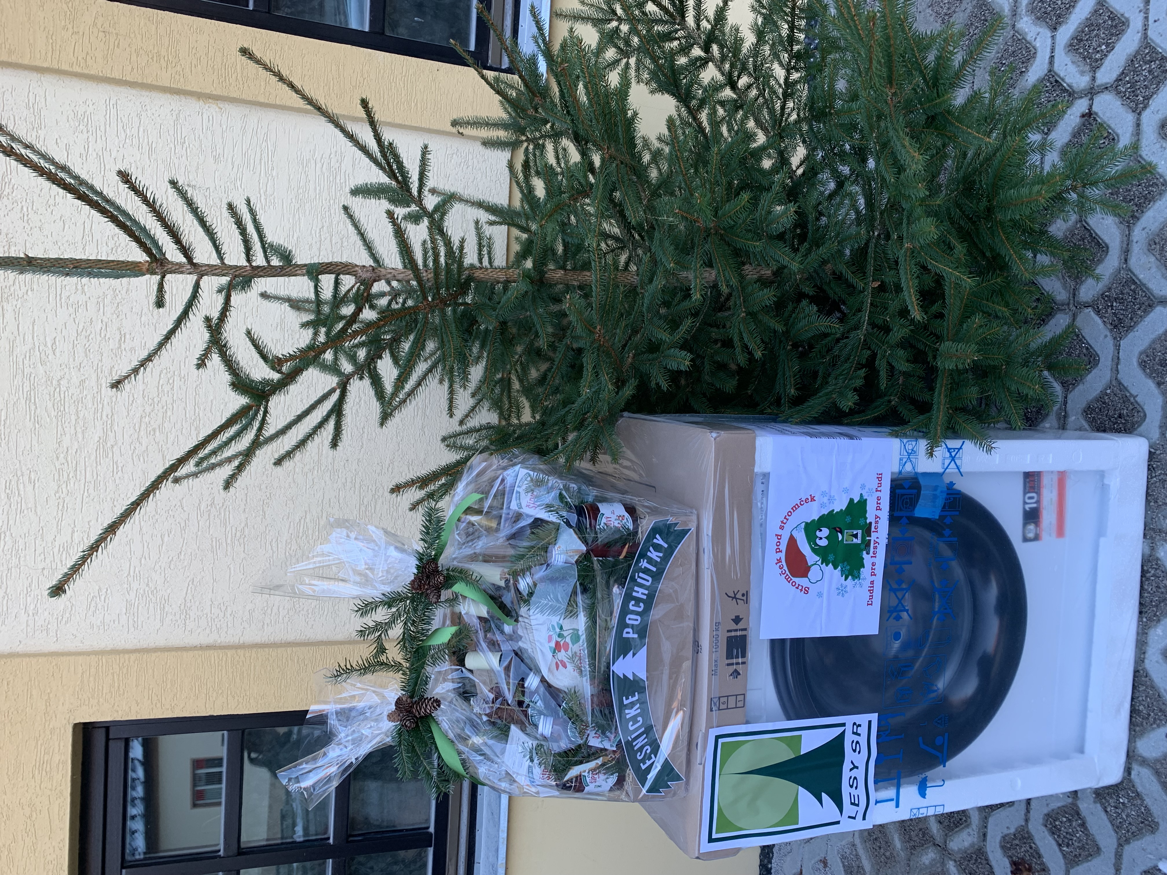 Stromček pod stromček 2021 Stromček pod stromček 2021