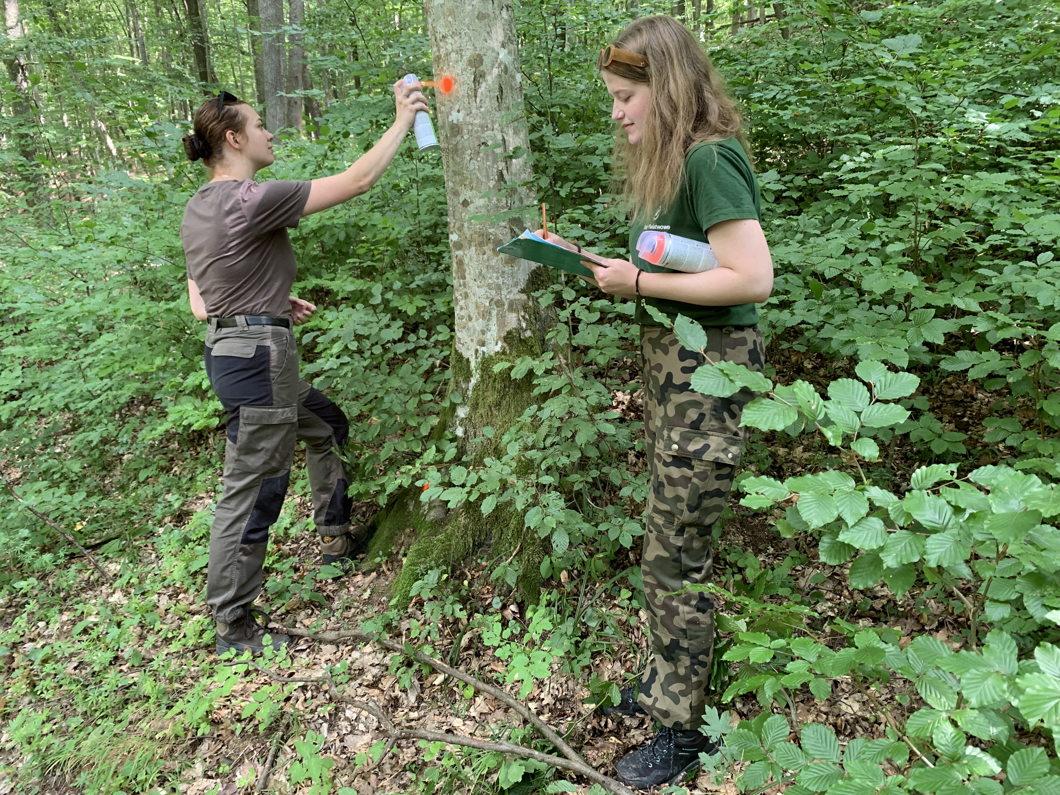 študenti Erasmus študenti Erasmus