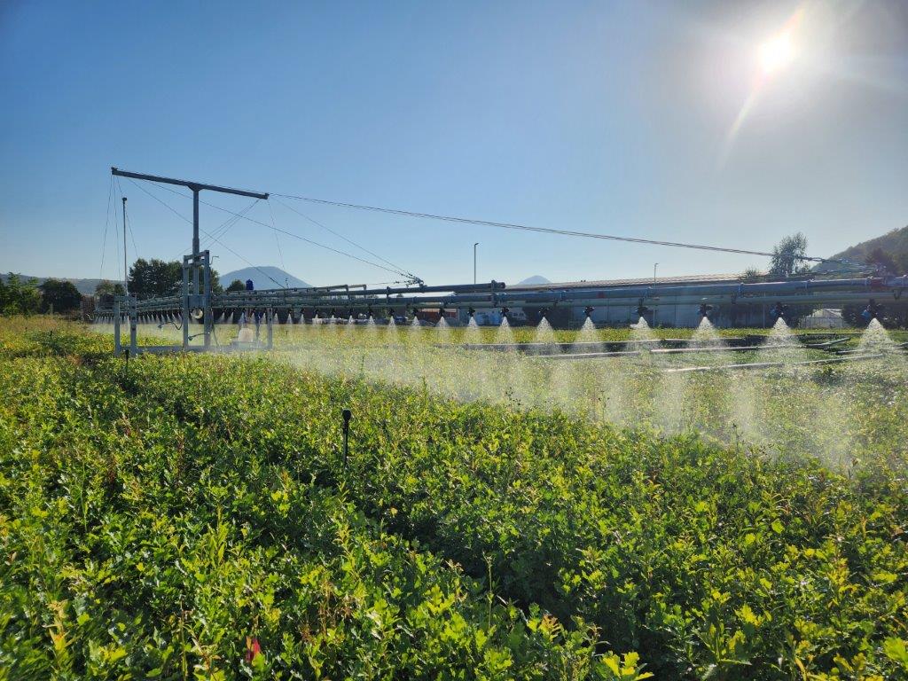 469826798 1077825680802590 7018195269654925029 n | WebJET CMS