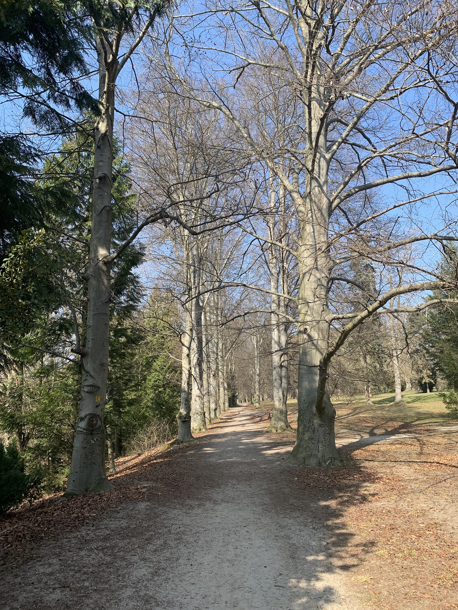 park Topoľčianky park Topoľčianky