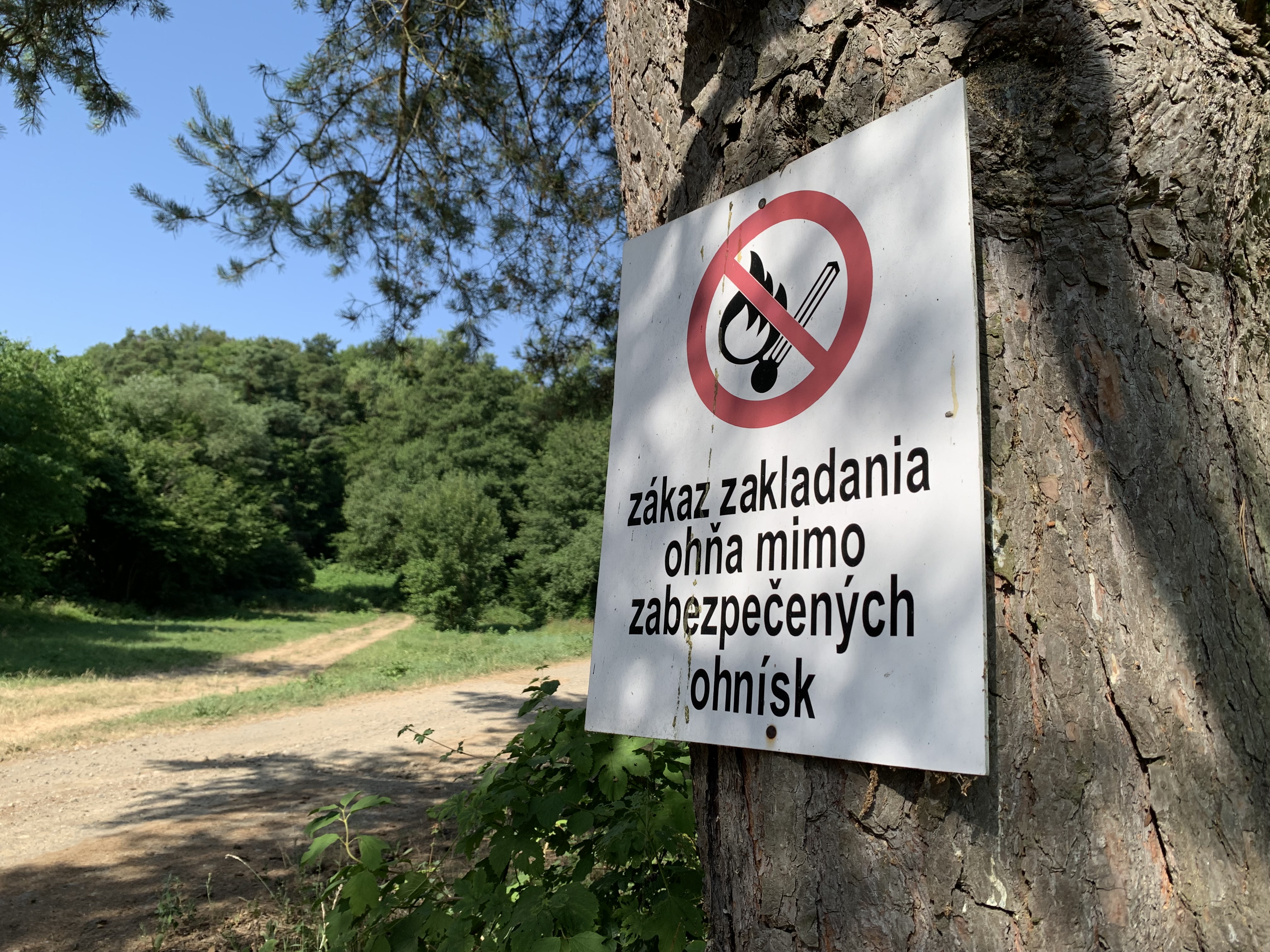 img 5443 | WebJET CMS