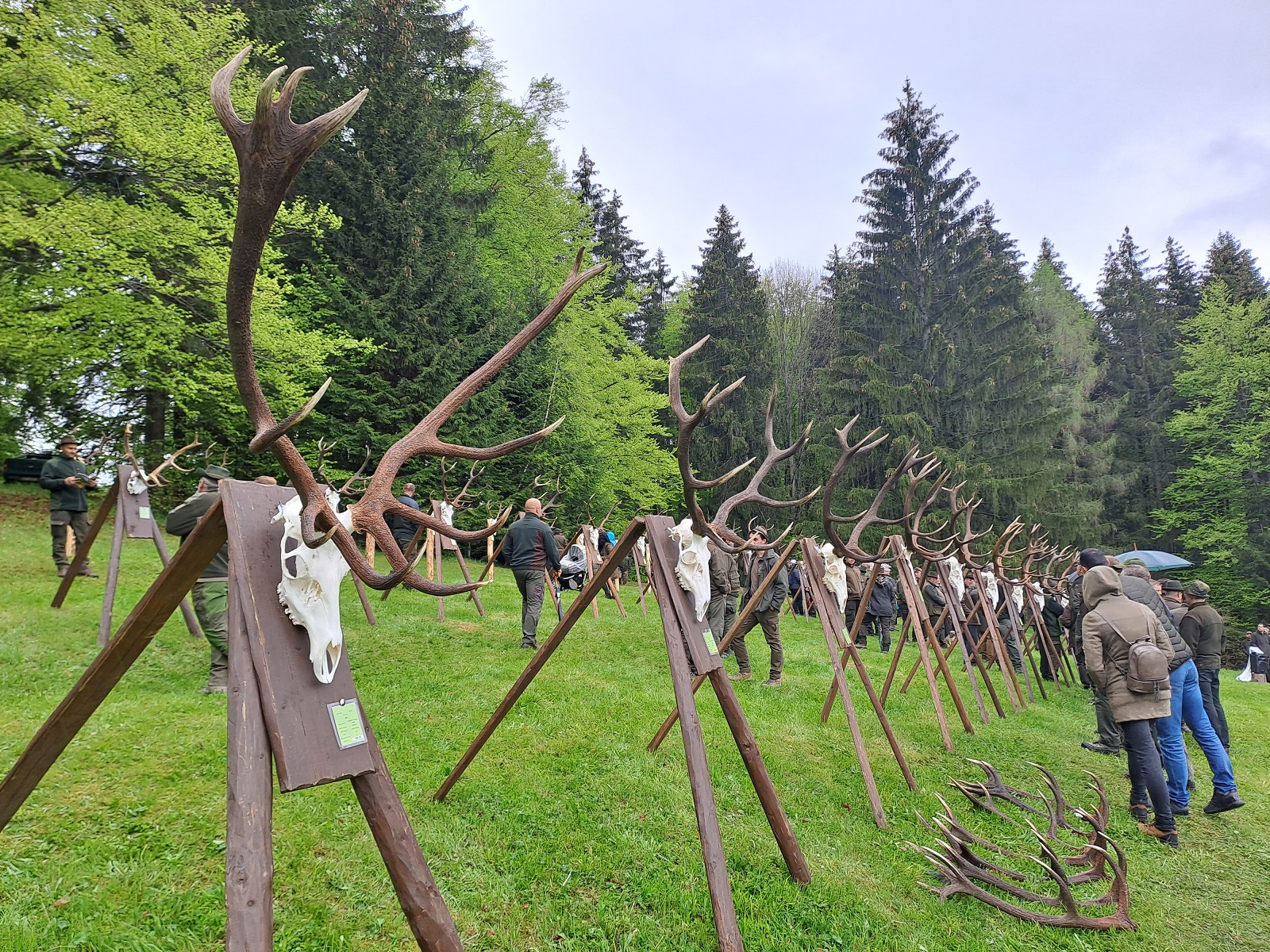 Chovateľská prehliadka Zálomská Chovateľská prehliadka Zálomská