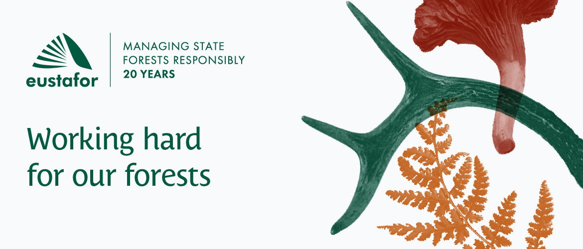 eustafor anniversary homepage banner 72dpi 02 | WebJET CMS banner - EUSTAFOR