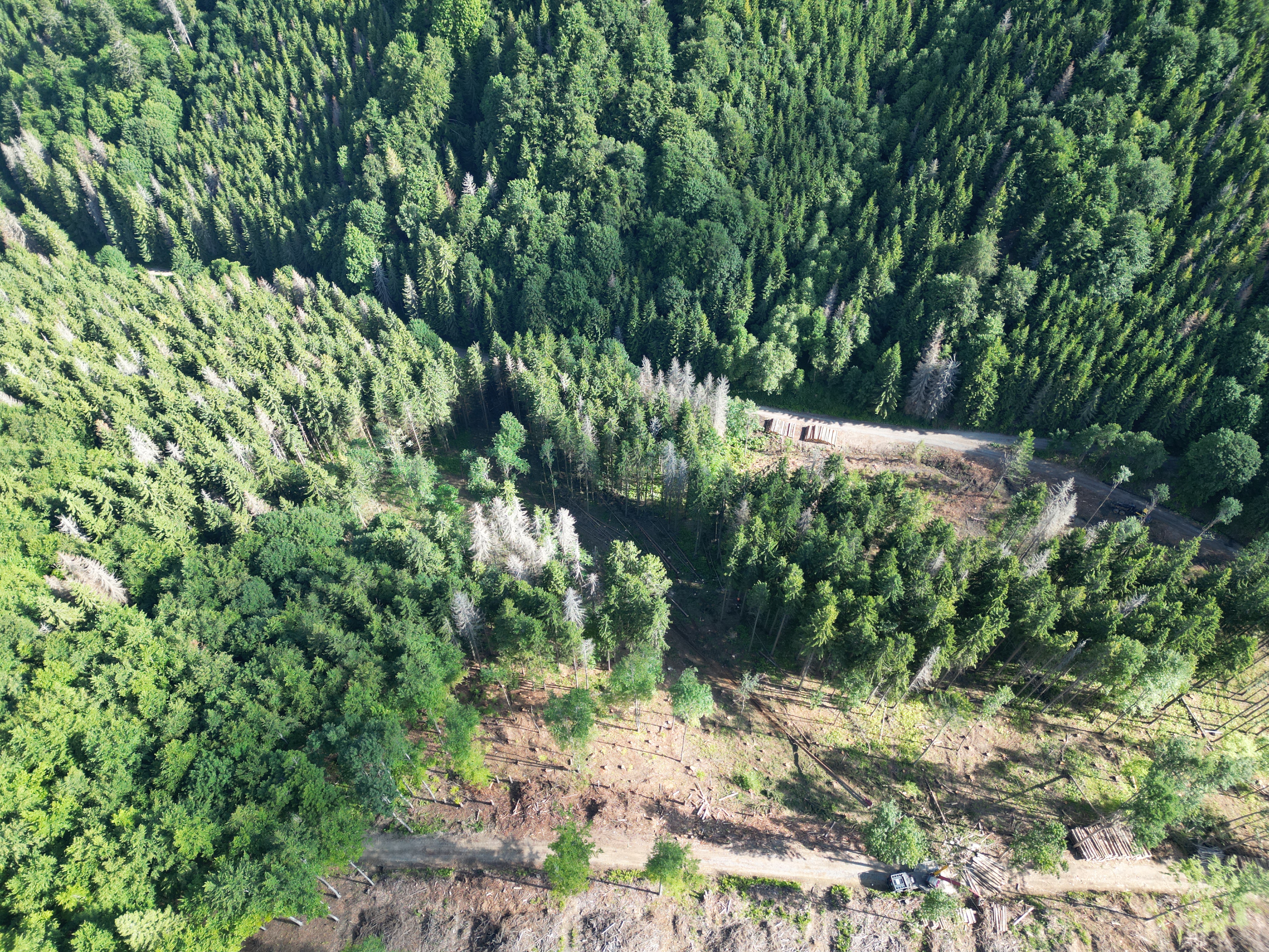 dji 0348 | WebJET CMS ťažba lanovkou - LS Beňuš