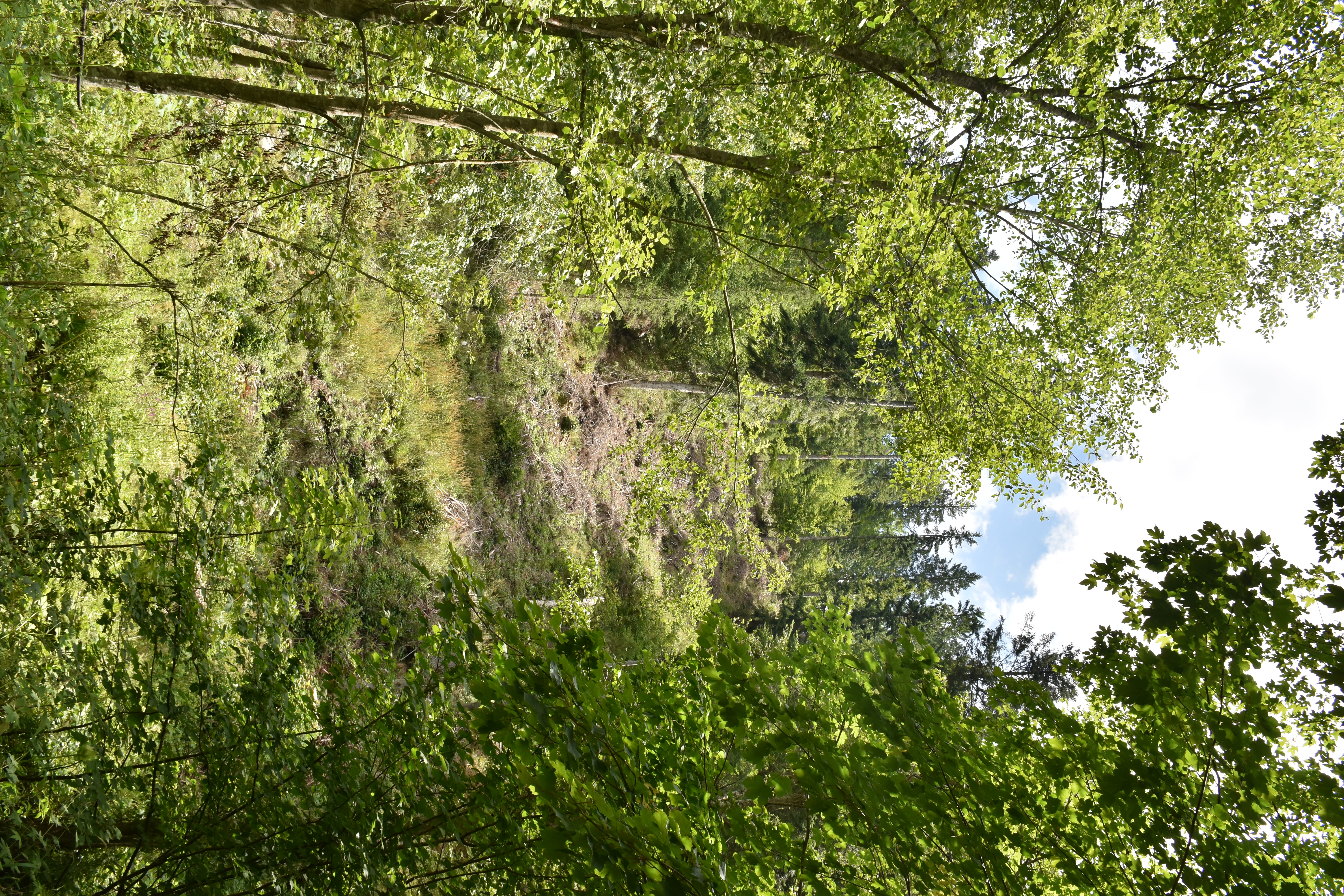 dsc 0325 | WebJET CMS ťažba lanovkou - po roku