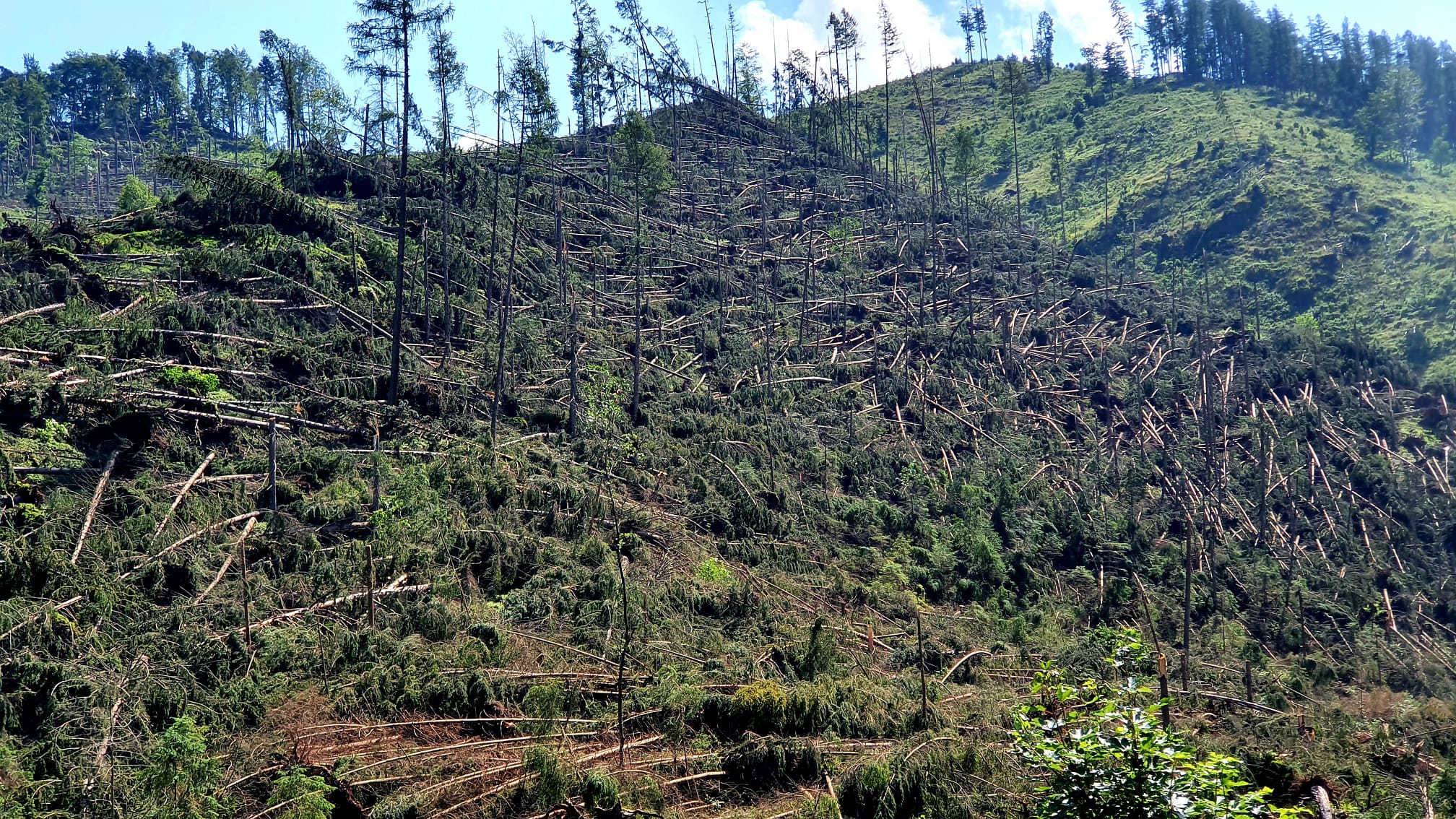kalamita Benkovo kalamita Benkovo