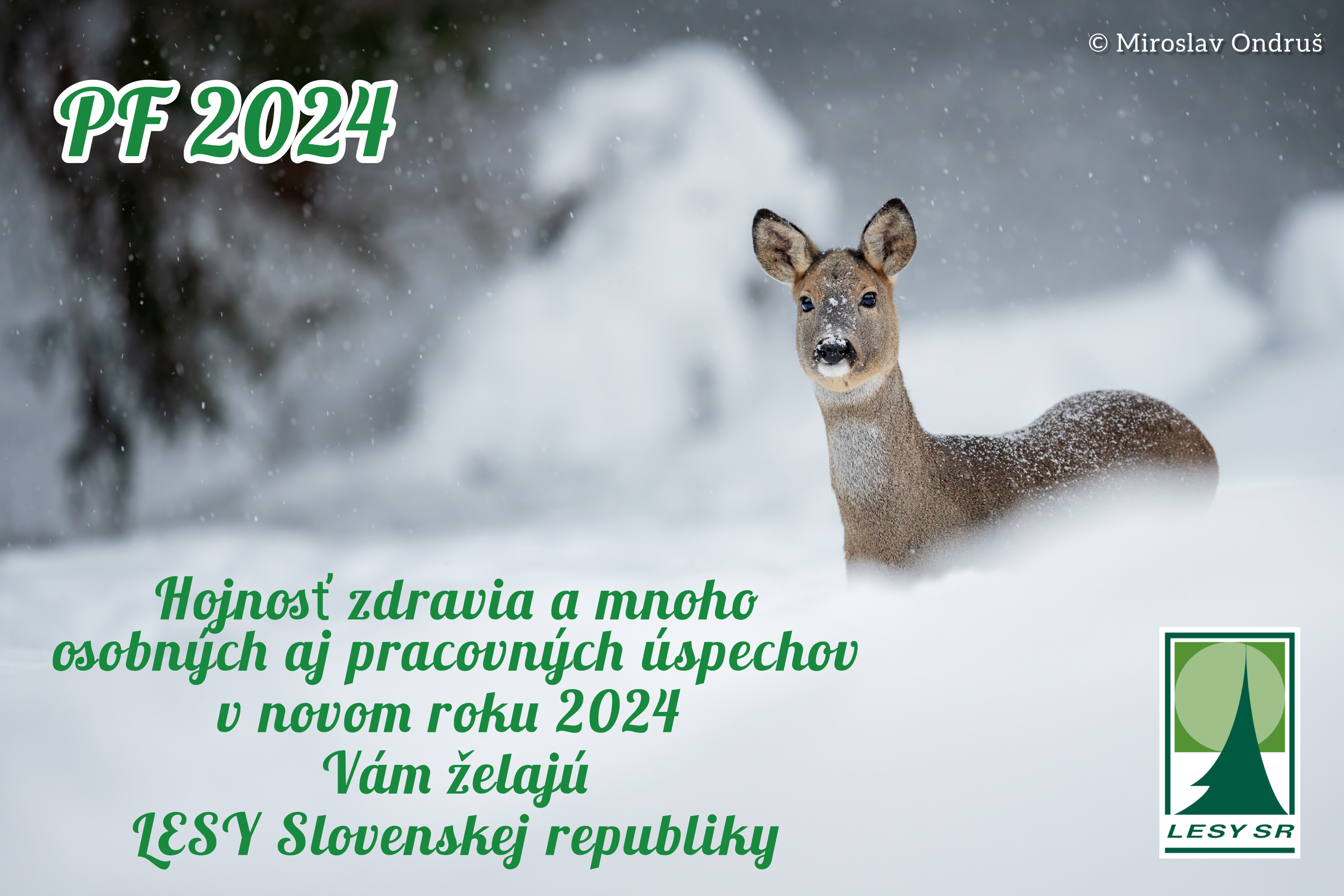 novoročné prianie novoročné prianie