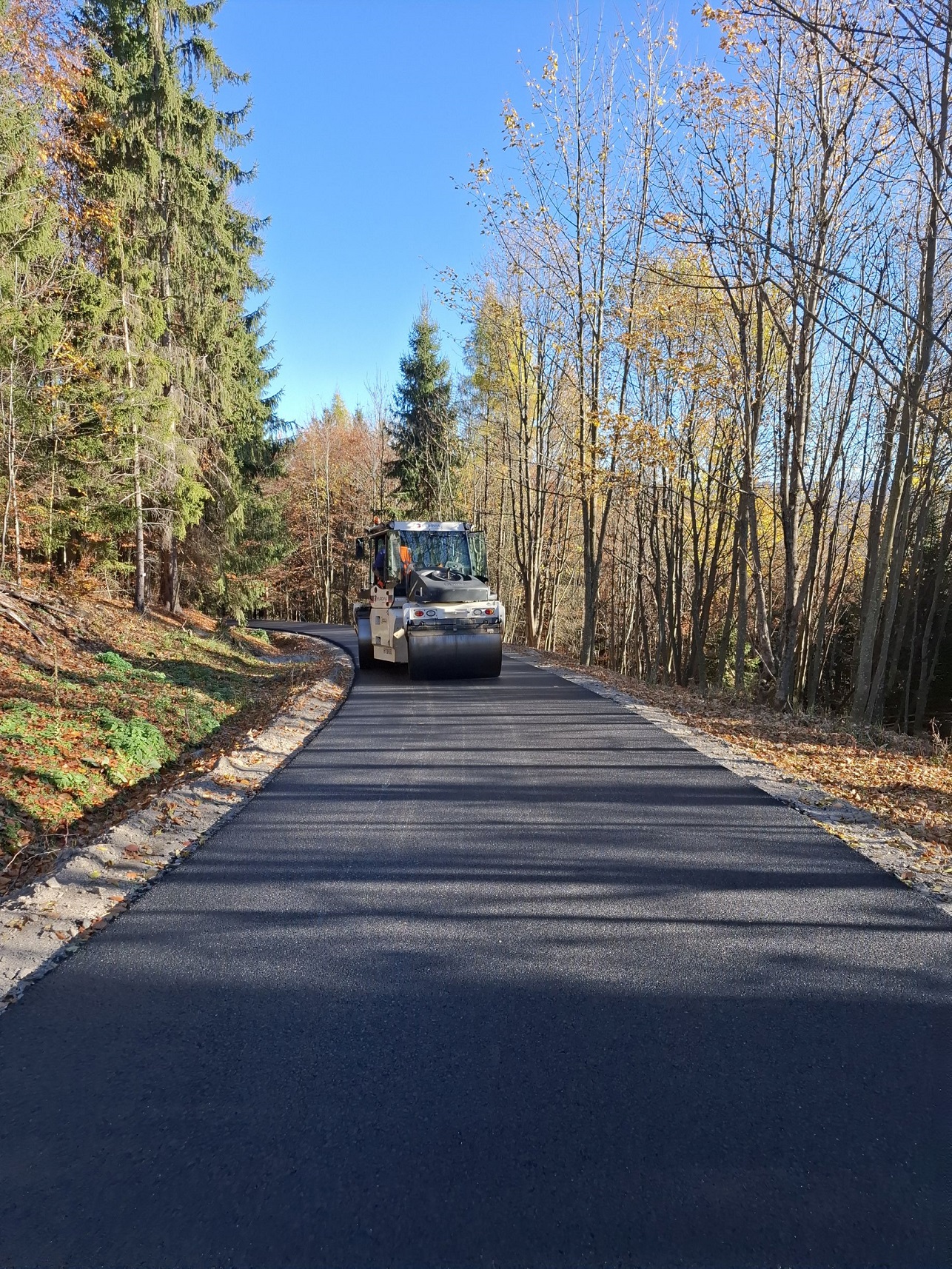 lesná cesta Poľana 11/2024 lesná cesta Poľana 11/2024