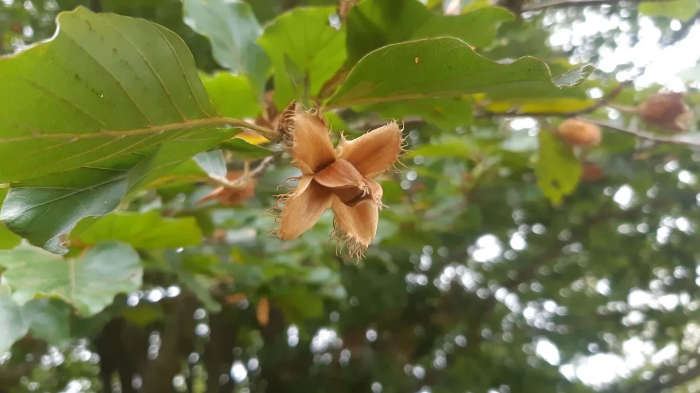 462212216 17984235530733592 7884396968076506124 n | WebJET CMS