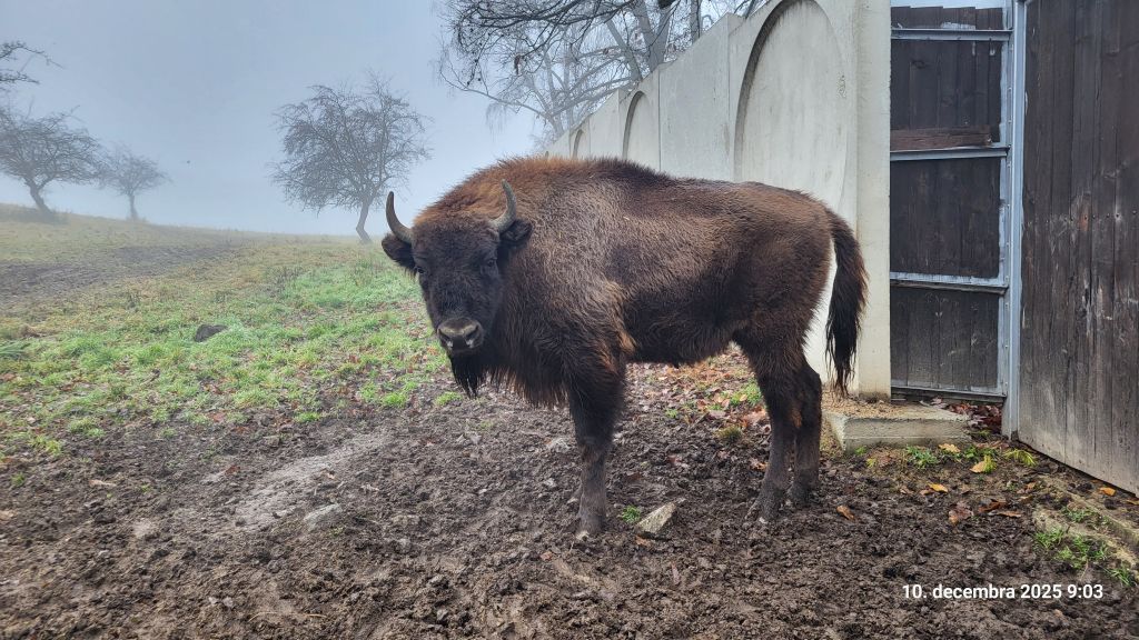 oxabina | WebJET CMS Zubrica Oxabina