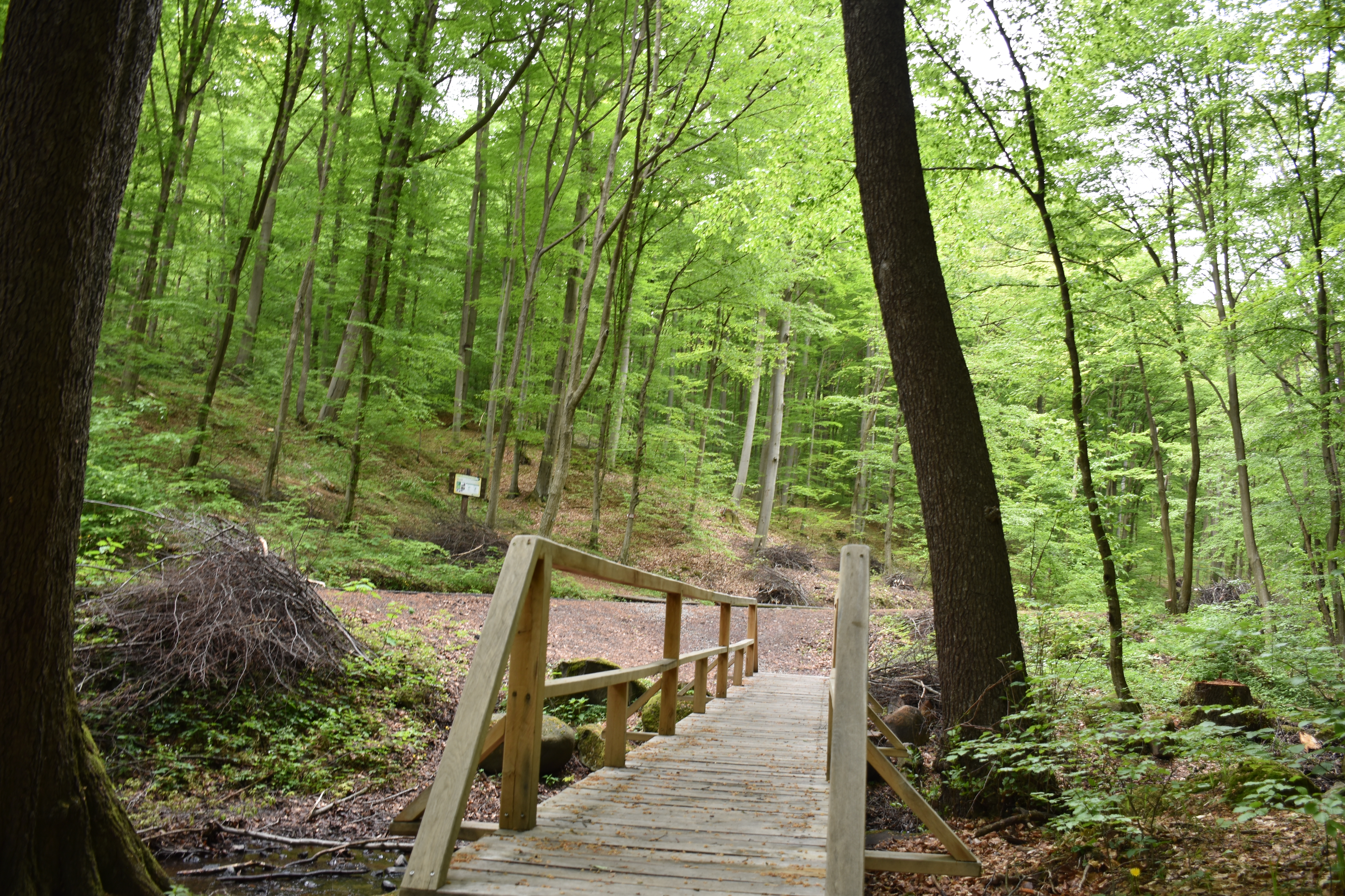 dsc 0004 | WebJET CMS Sigord 2025