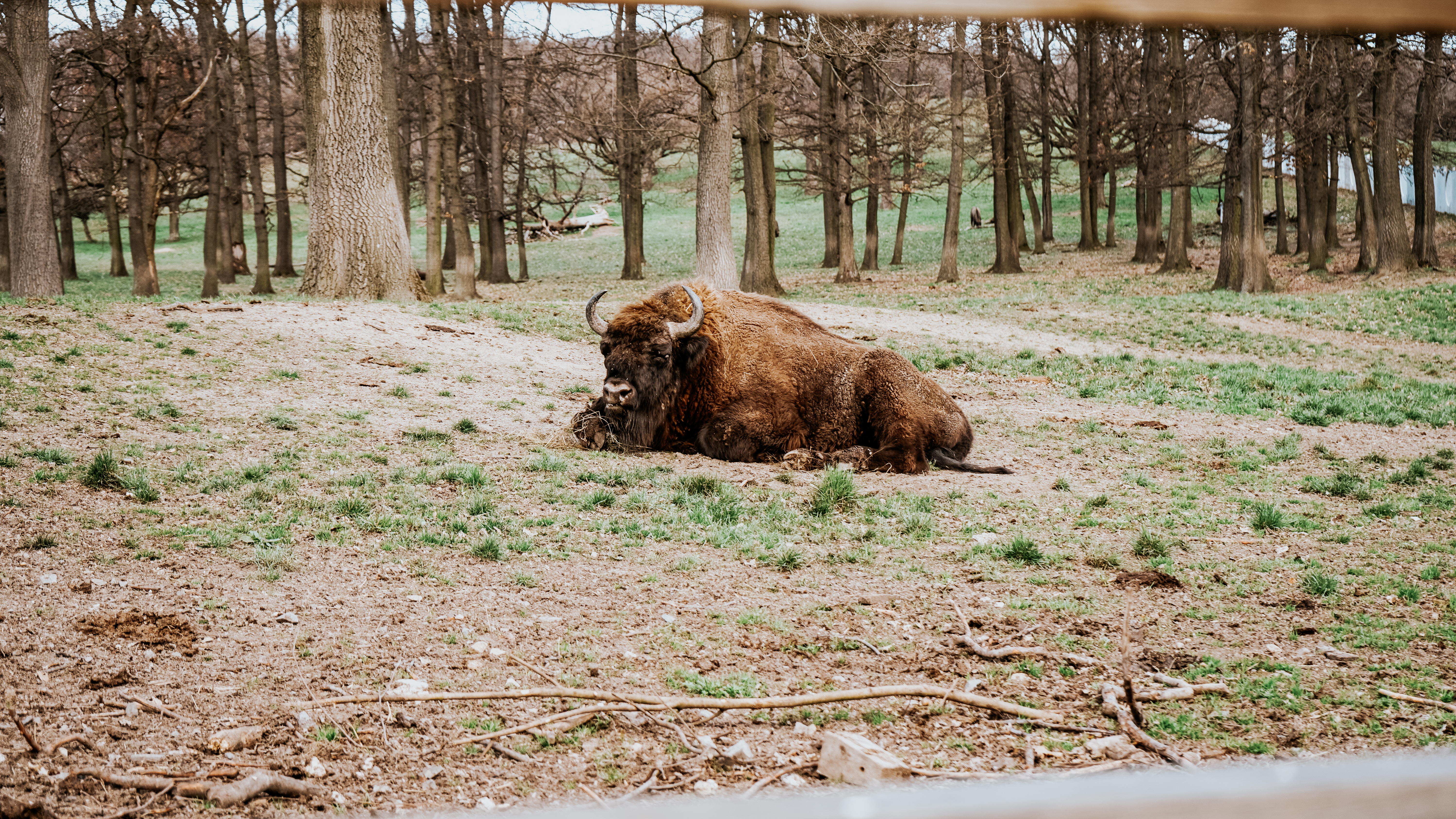 topolcianky 27 | WebJET CMS Zubor - LESY SR