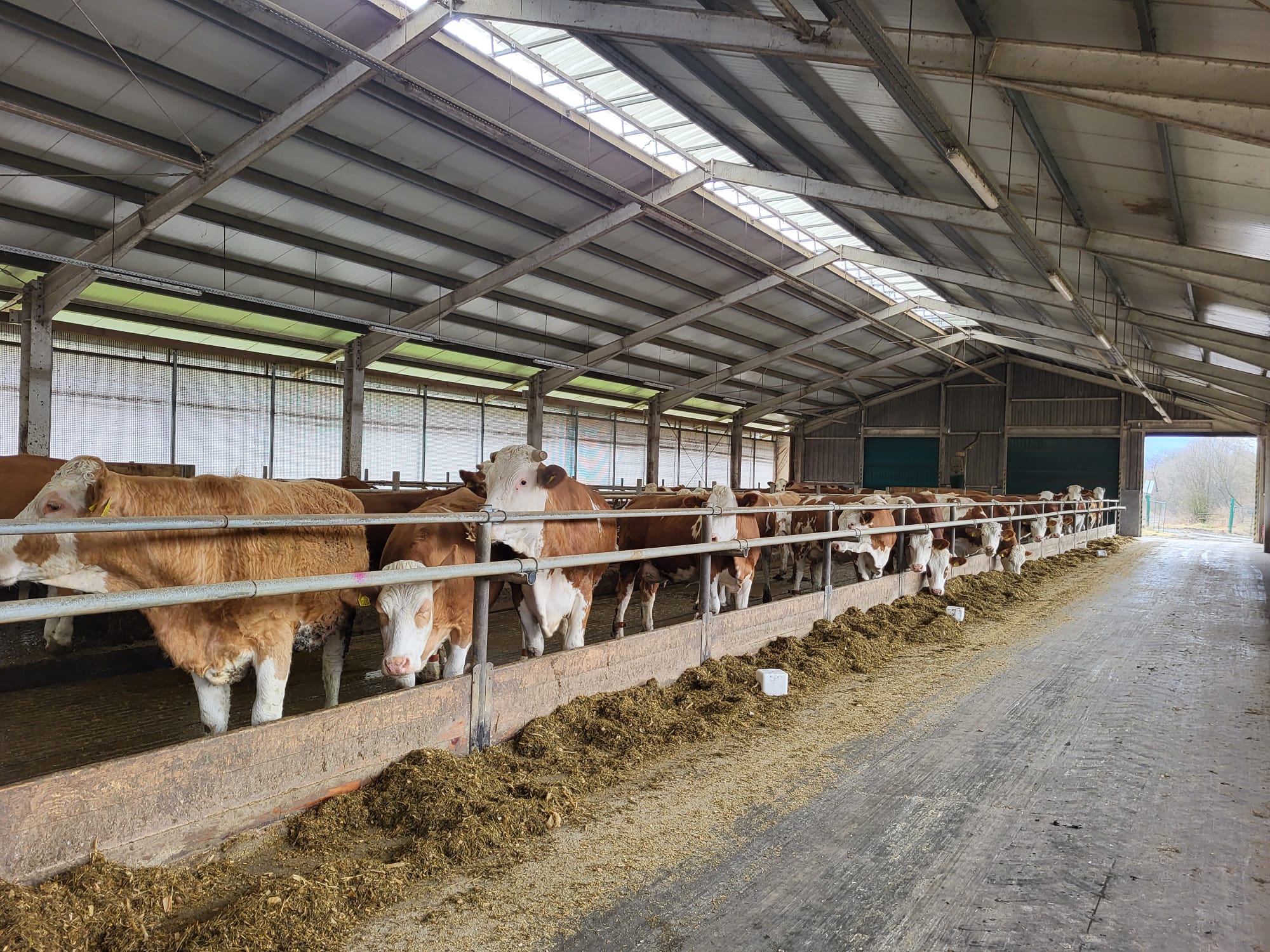 Chov na OZ Ulič chov na OZ Ulič