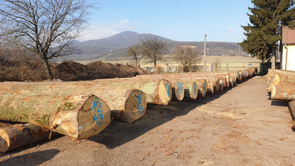 20210308 091154 | WebJET CMS