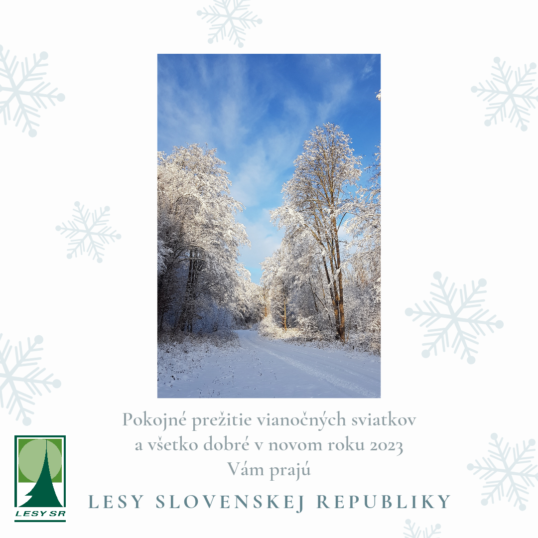 vianočné prianie vianočné prianie