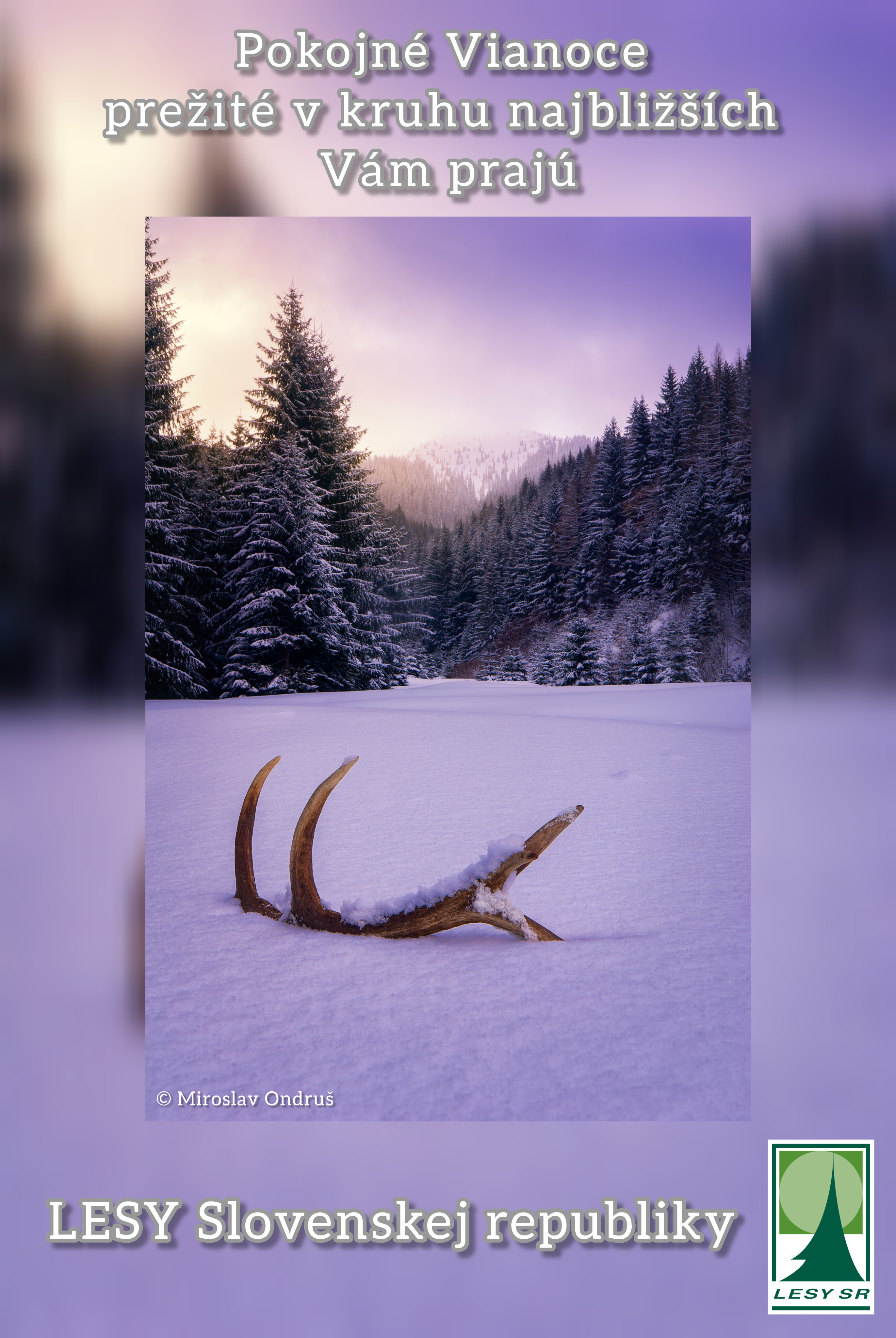 vianočné prianie vianočné prianie