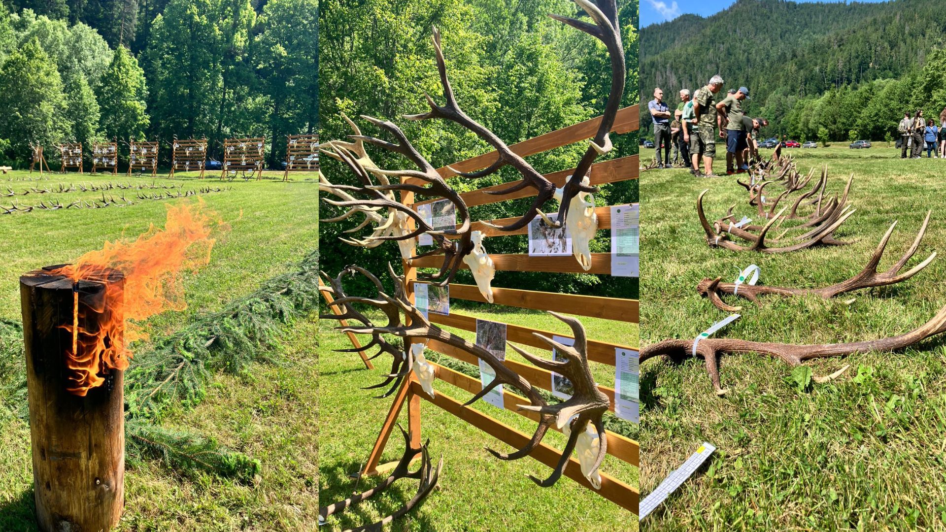 zhody oztatry2025 | WebJET CMS Výstava zhodov OZ TATRY 2025